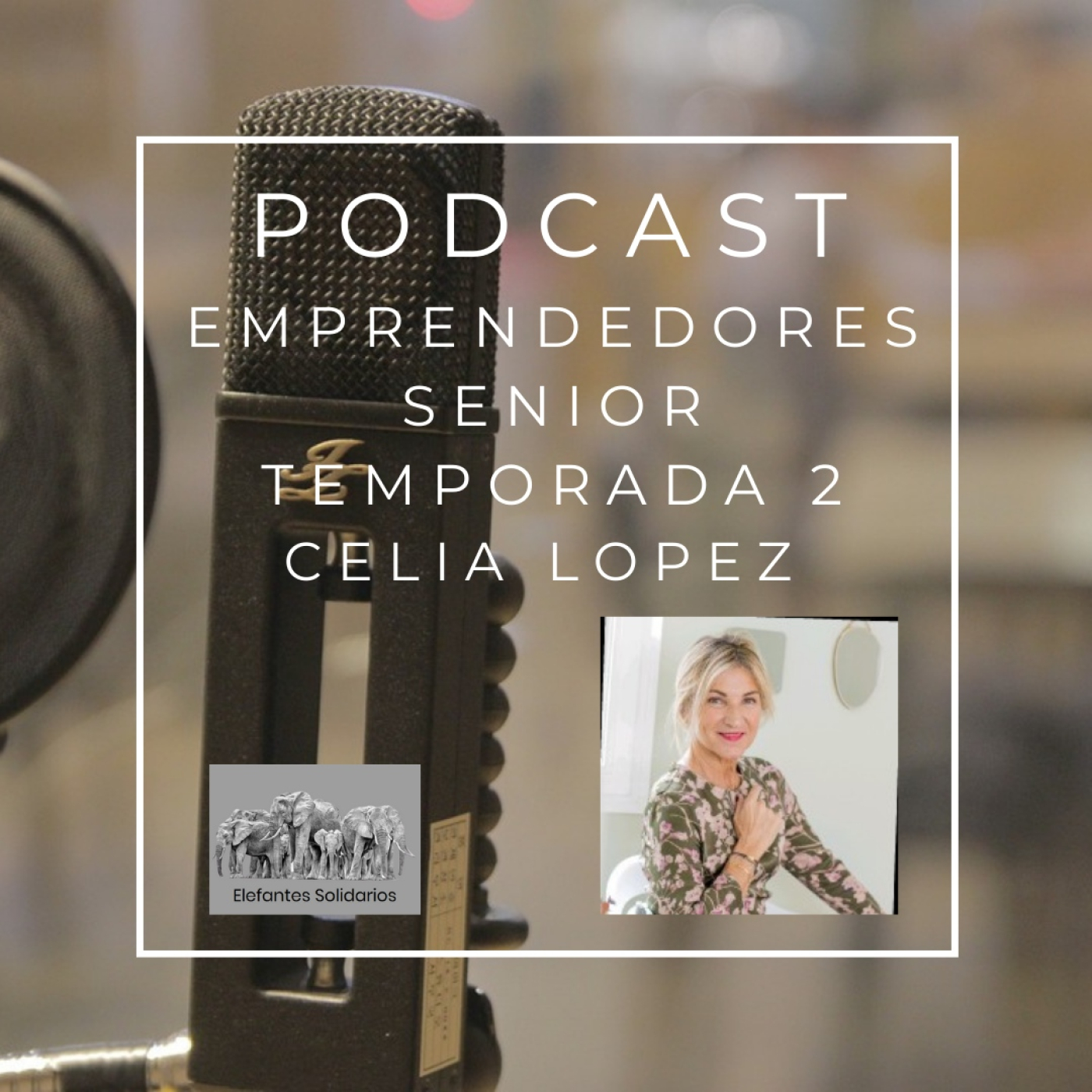 Emprendedores Senior