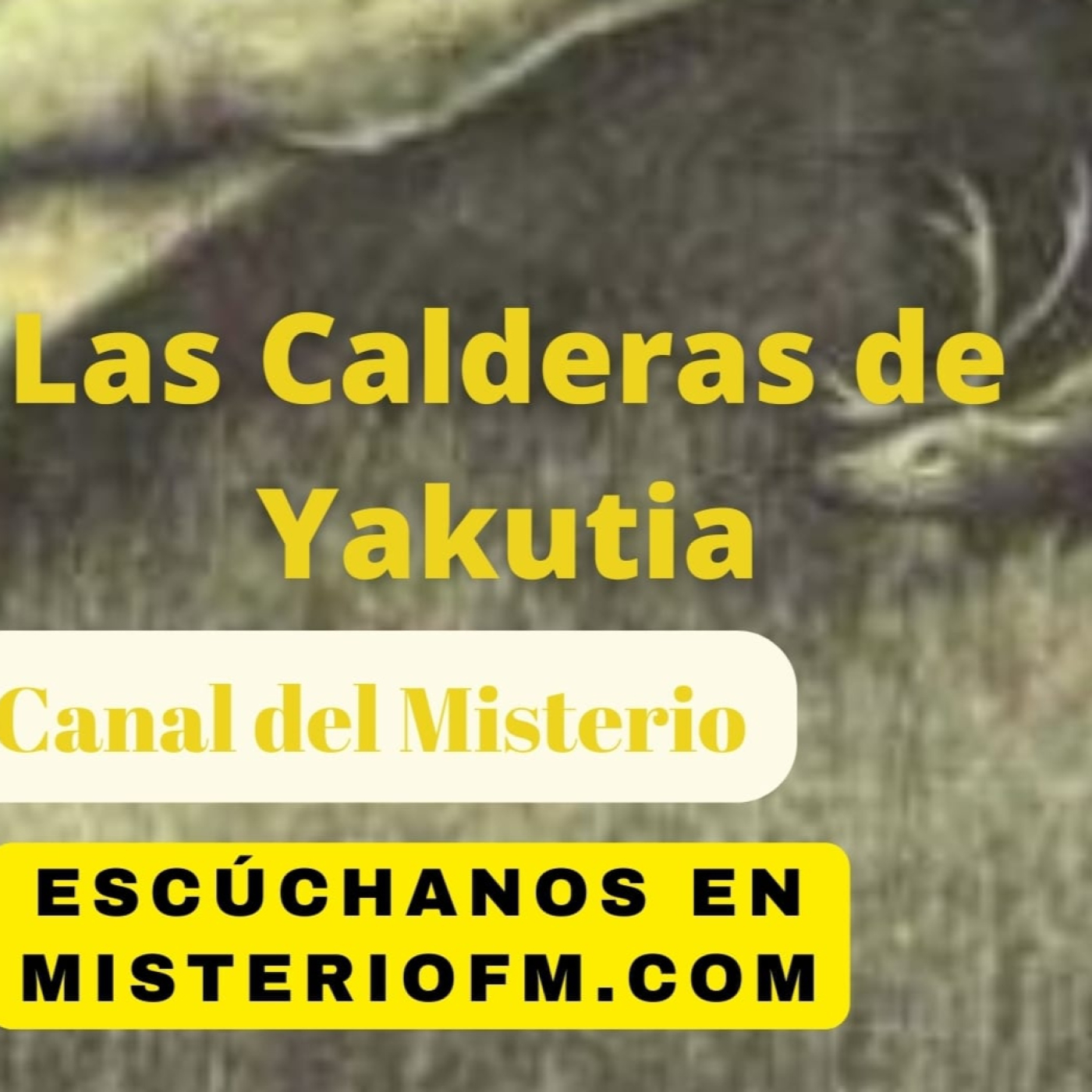 CDM-CANAL DEL MISTERIO (Programa)
