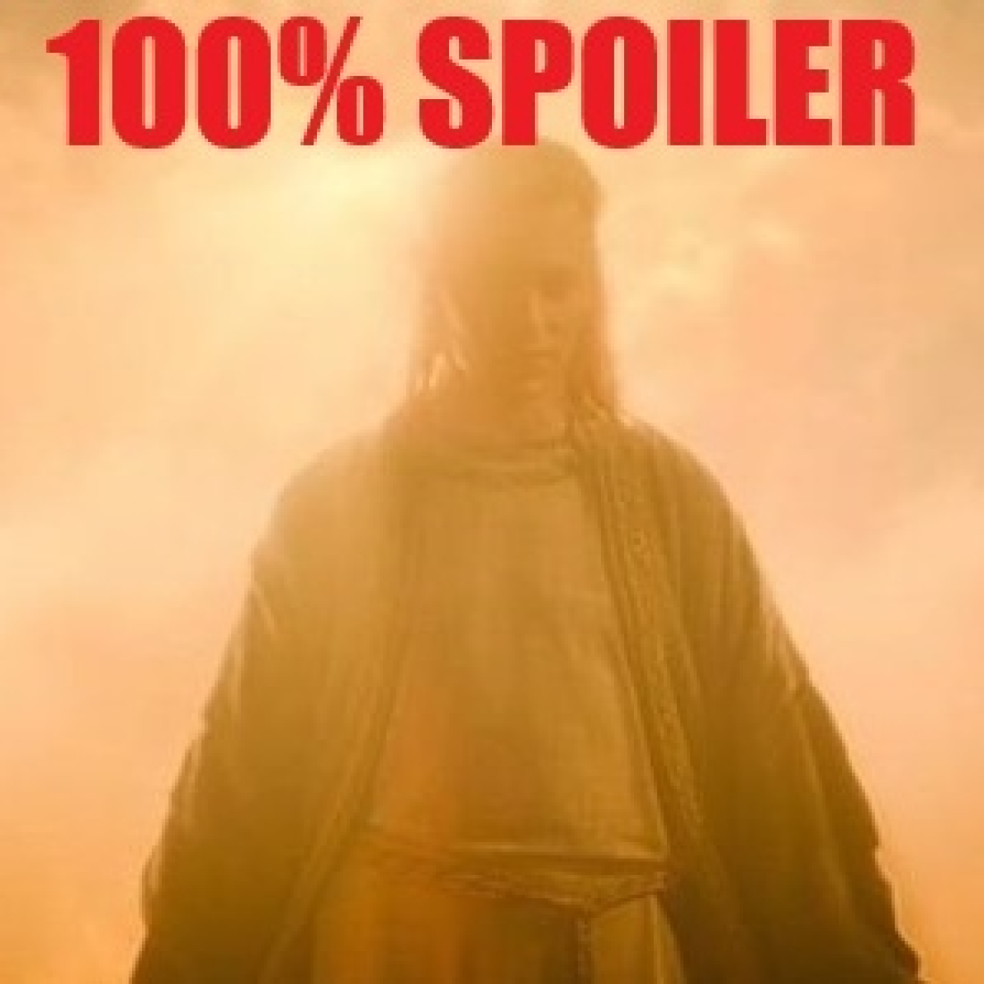 100% Spoiler