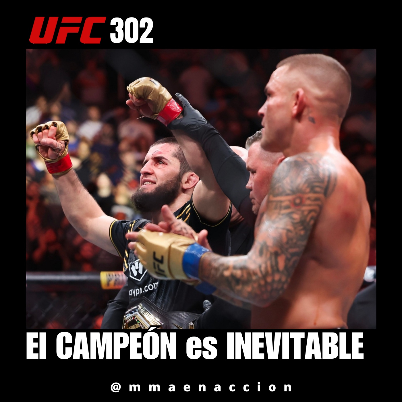 MMA en acción
