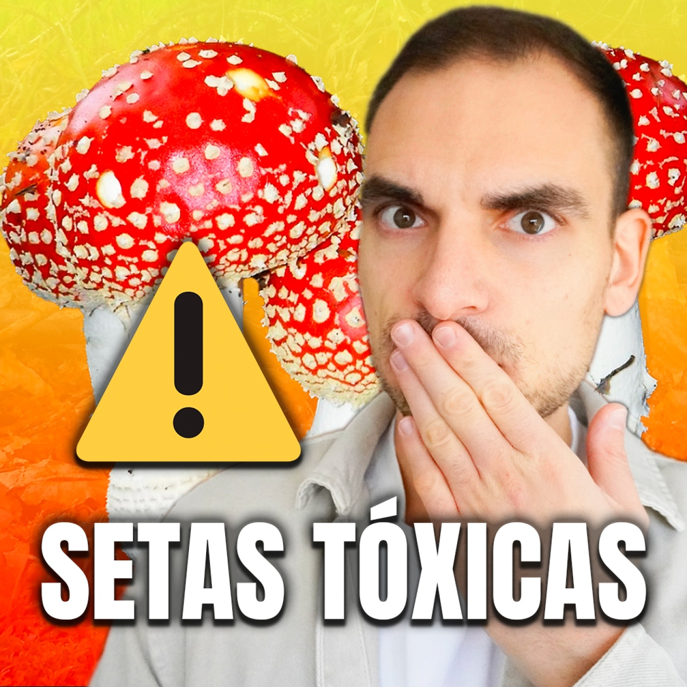 Cuidado con las Setas: Toxicidad, Dudas sobre el Lavado y Almacenamiento en Casa. Episodio 109