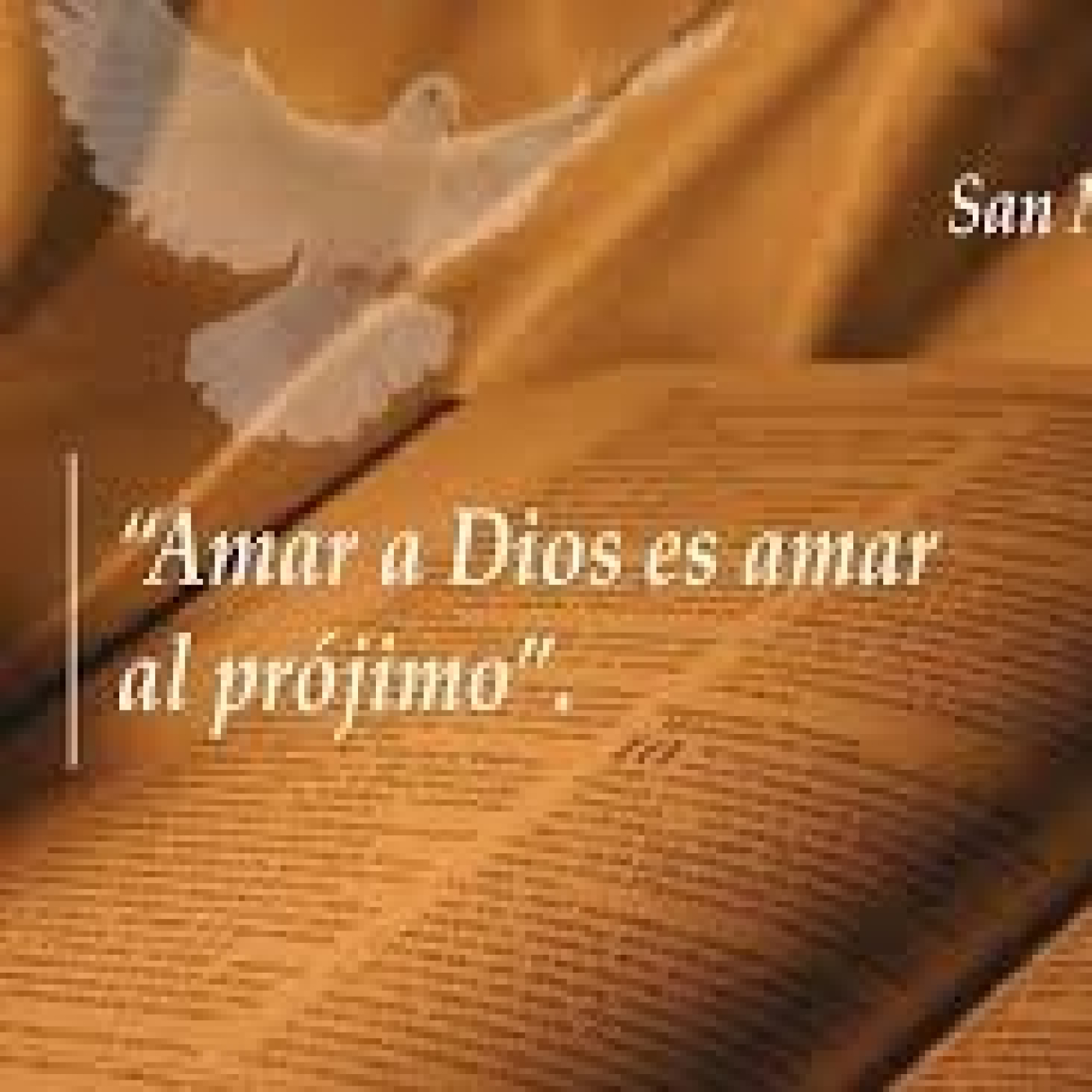 HOMILIAS - P.Luis Miguel Castillo
