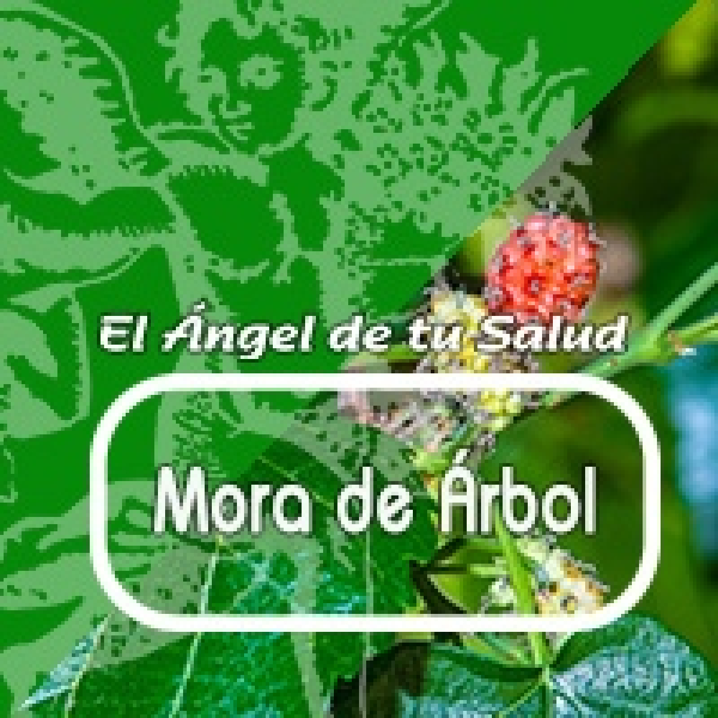 El Ángel de tu Salud - MORA DE ÁRBOL** episode artwork