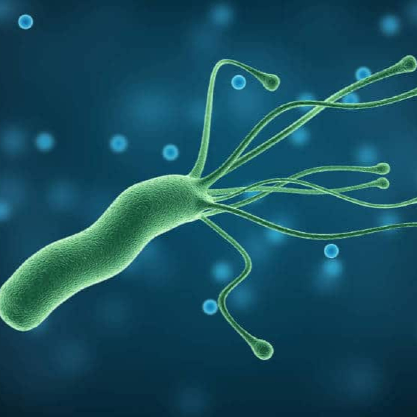 ¿Digestiones lentas y reflujo? Podría ser Helicobacter pylori