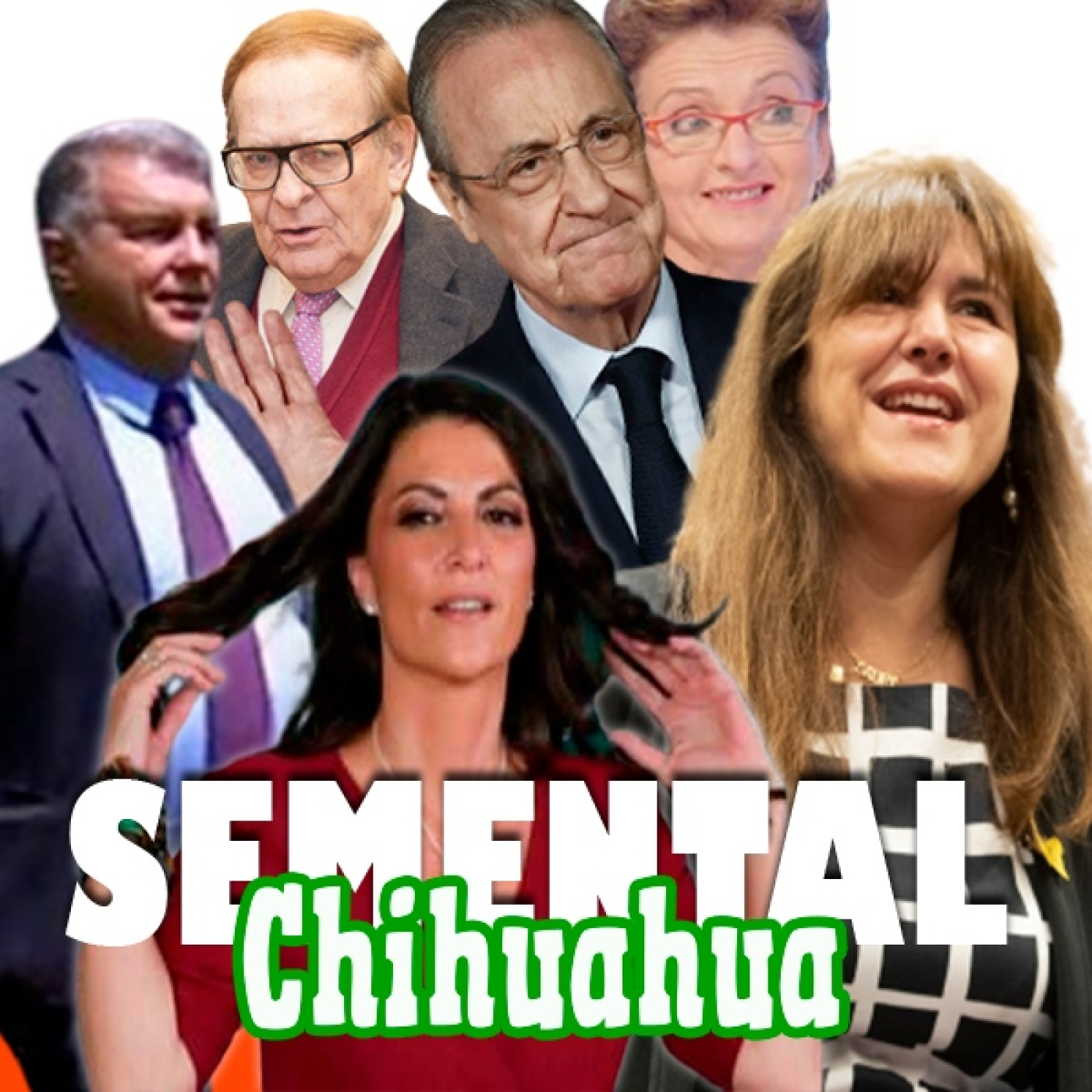 Semental Chihuahua
