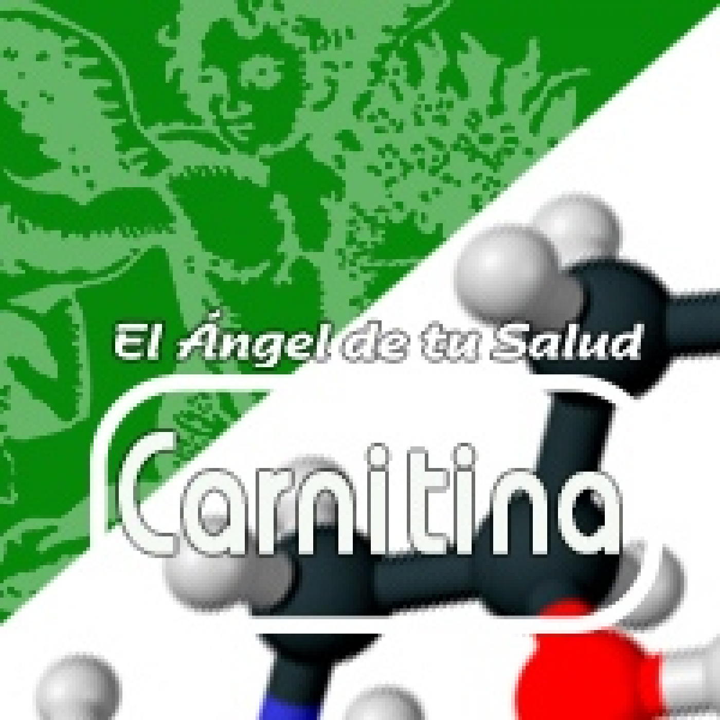 El Angel de tu Salud - CARNITINA* episode artwork