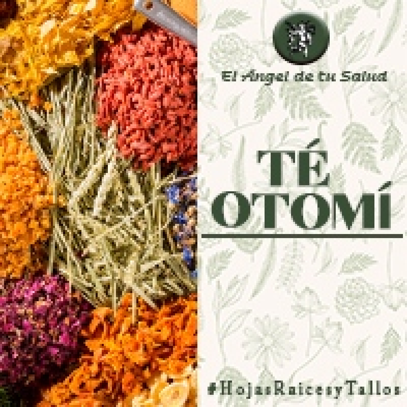 El Ángel de tu Salud - Té Otomí**