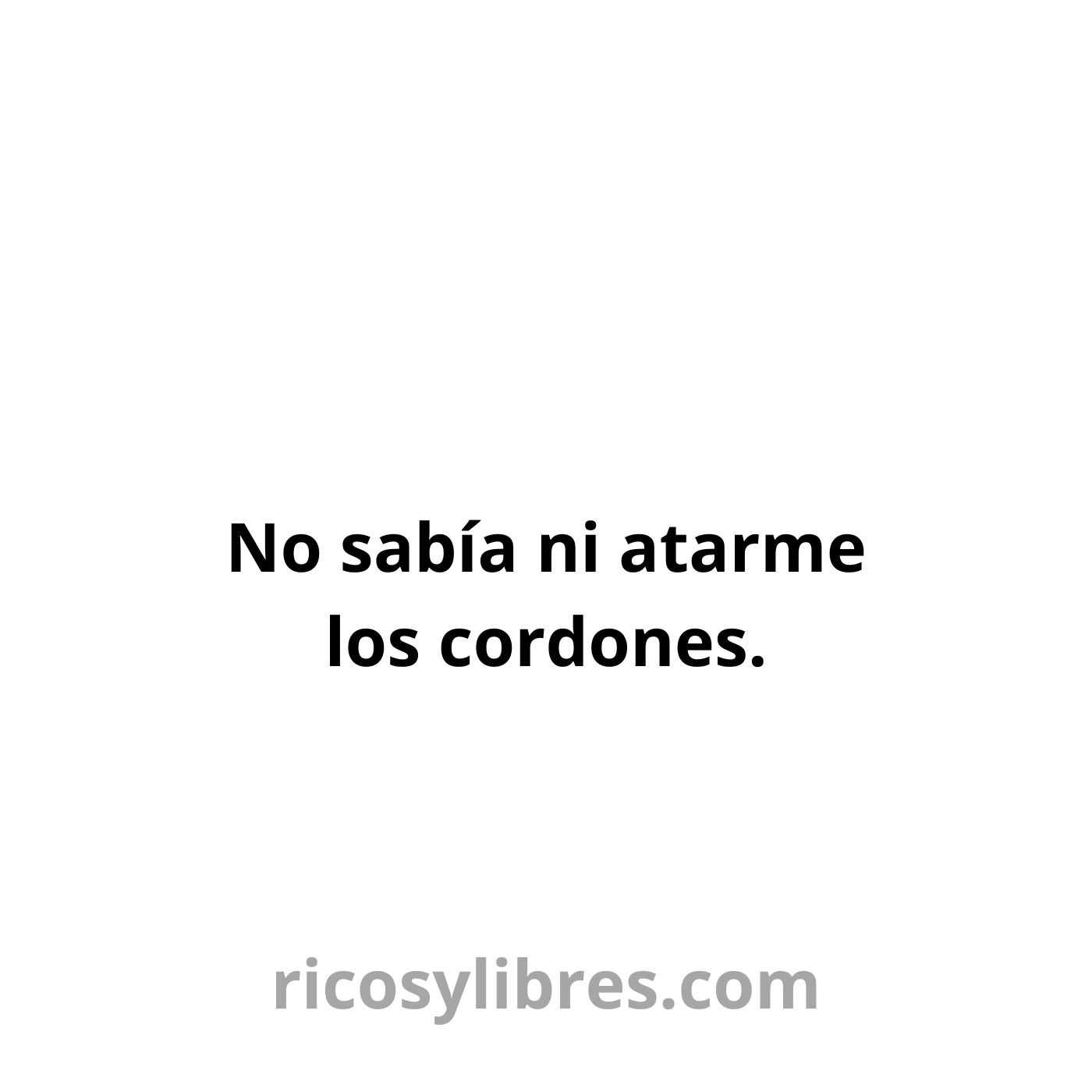 Ricosylibres.com