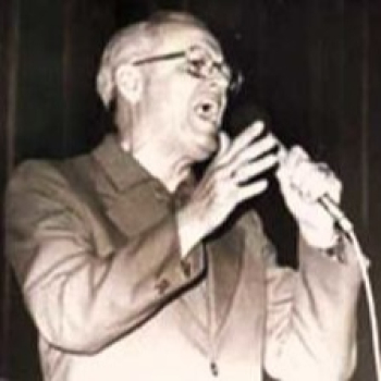 embed image