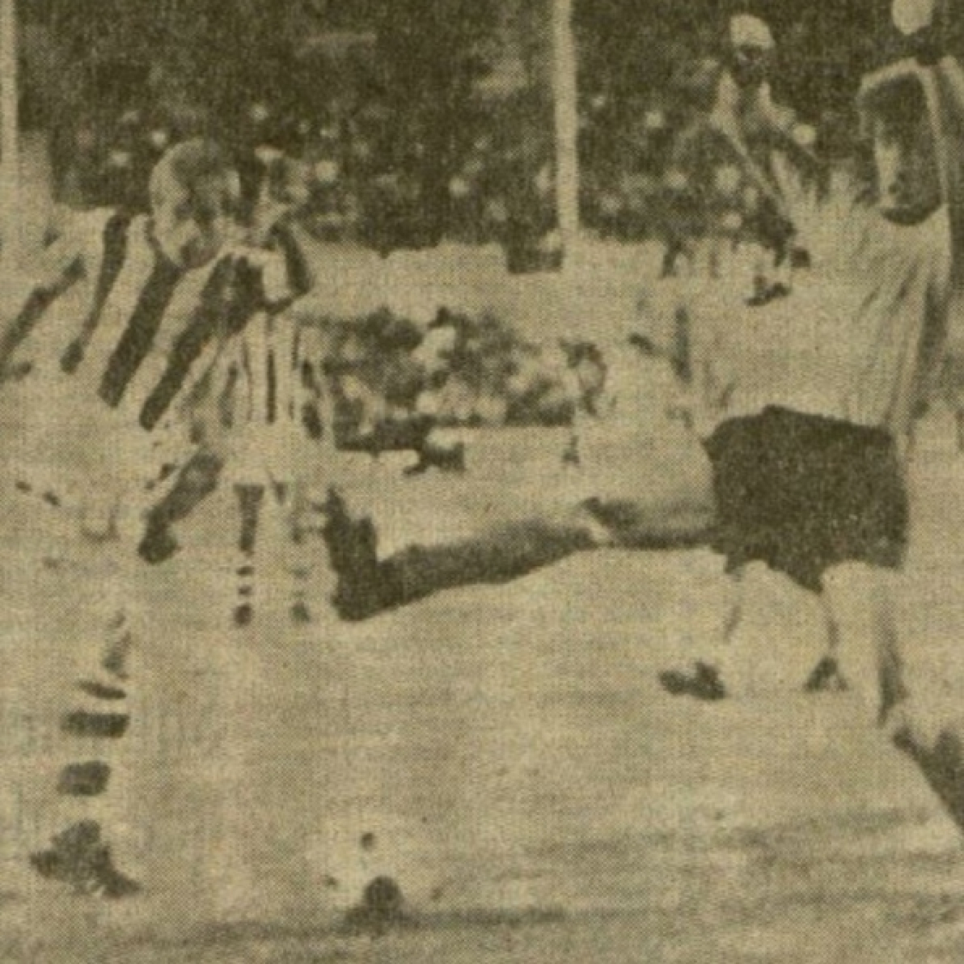 Corazón Txuri Urdin