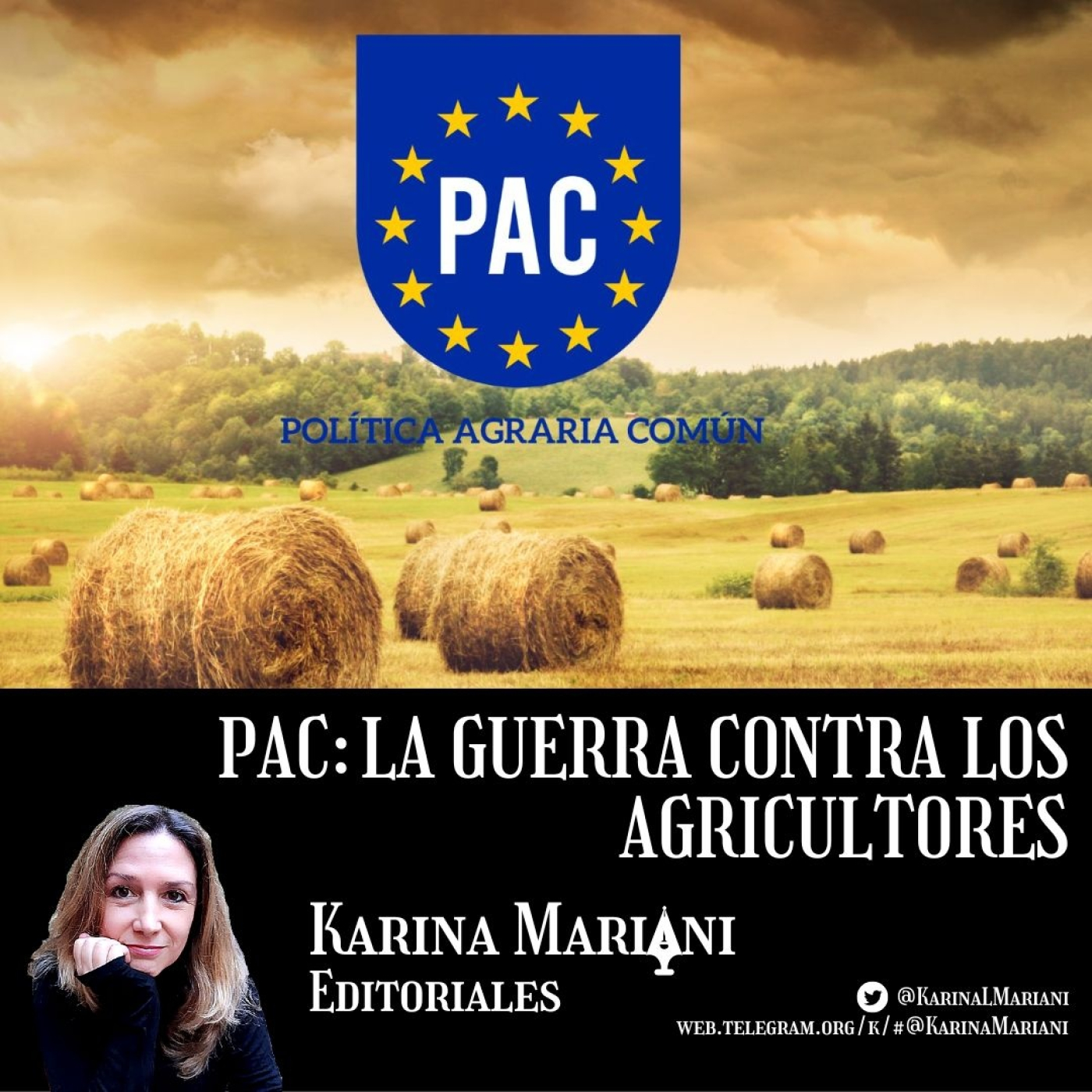 Karina Mariani Editoriales