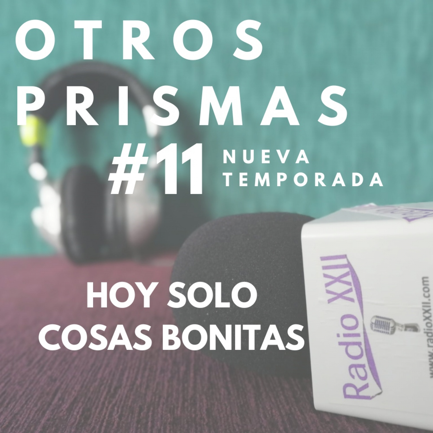 OTROS PRISMAS