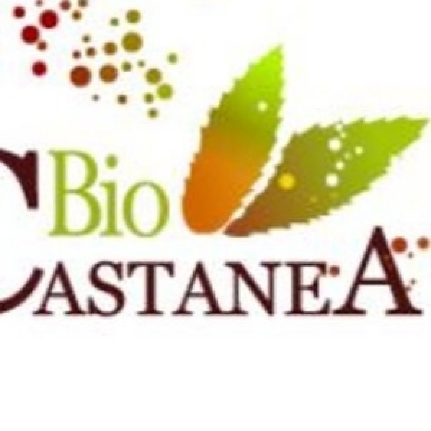 Pablo Linares es el director de la Mesa del Castaño, encargado de la XVI edición de Biocastanea 2025