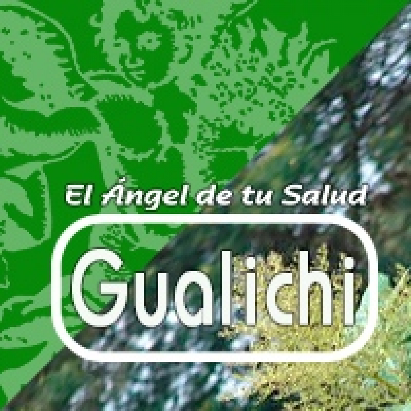 El Ángel de tu Salud - GUALICHI*** episode artwork