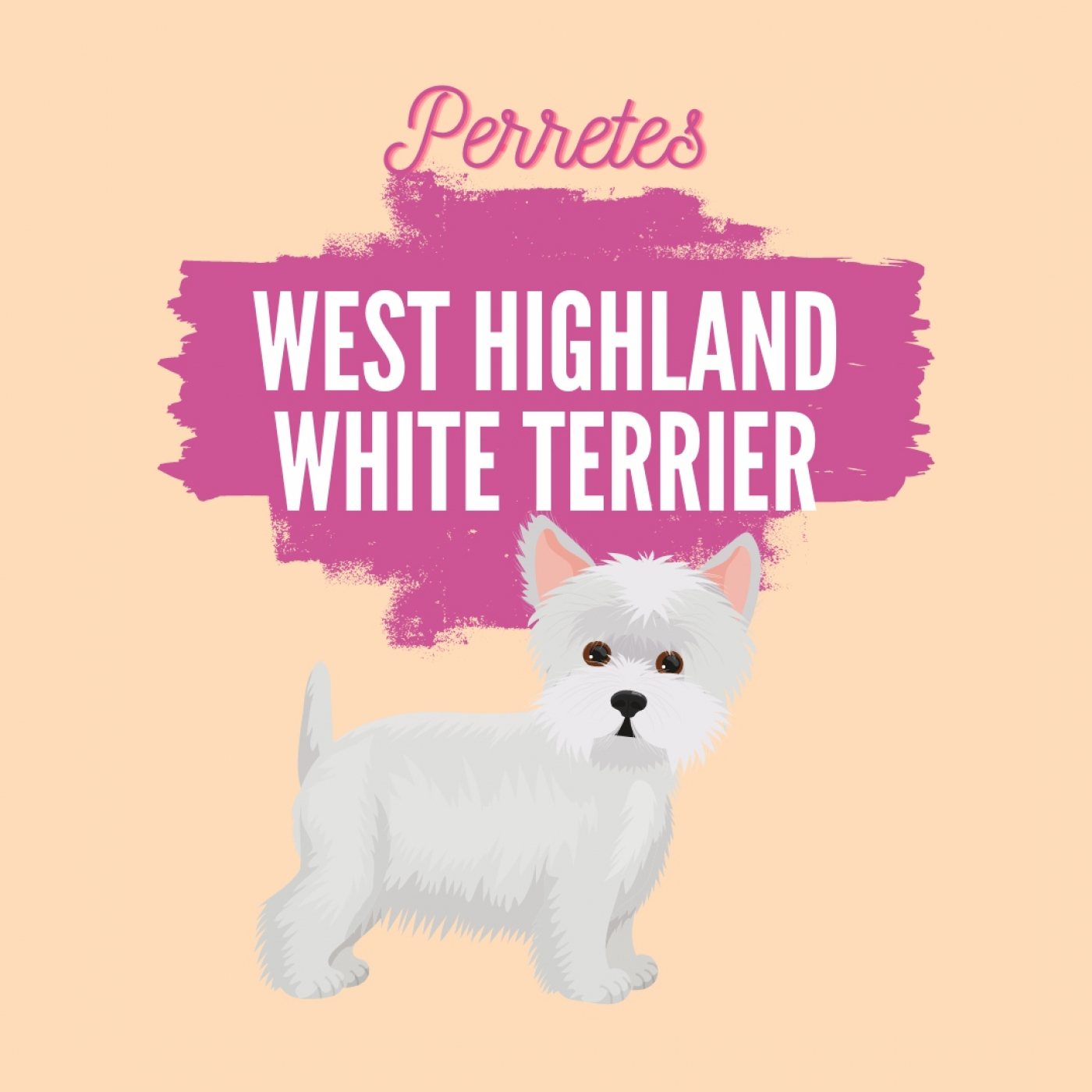 Perretes | Las razas de perros
