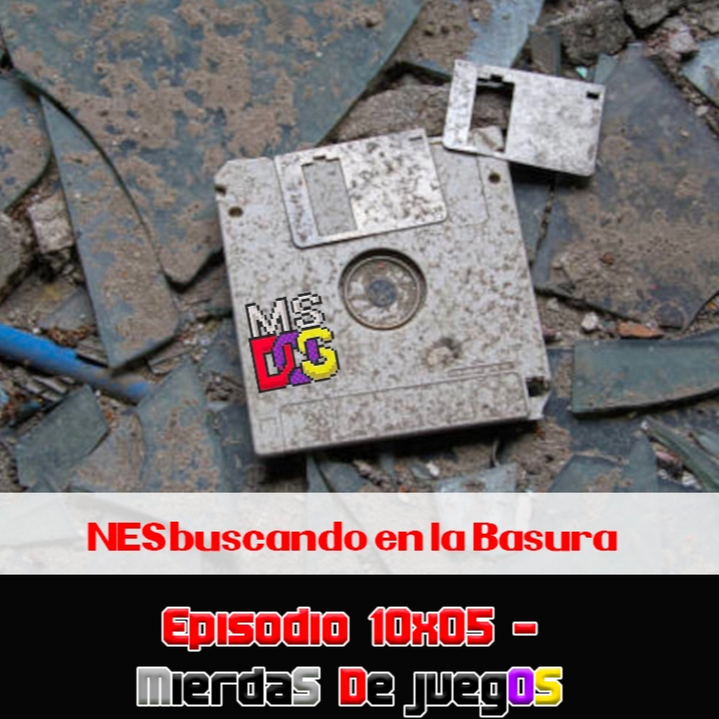 NESbuscando en la Basura
