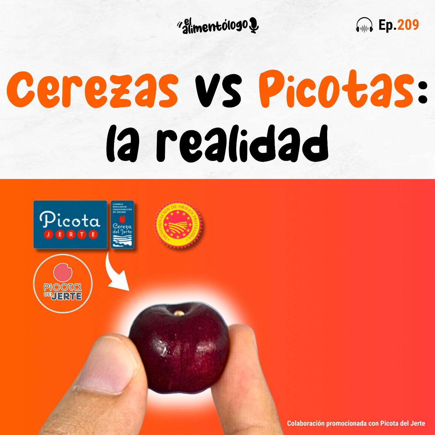 Cerezas vs Picotas: diferencias, propiedades, sostenibilidad (colaboración con Picota del Jerte #publi) (Ep. 209)
