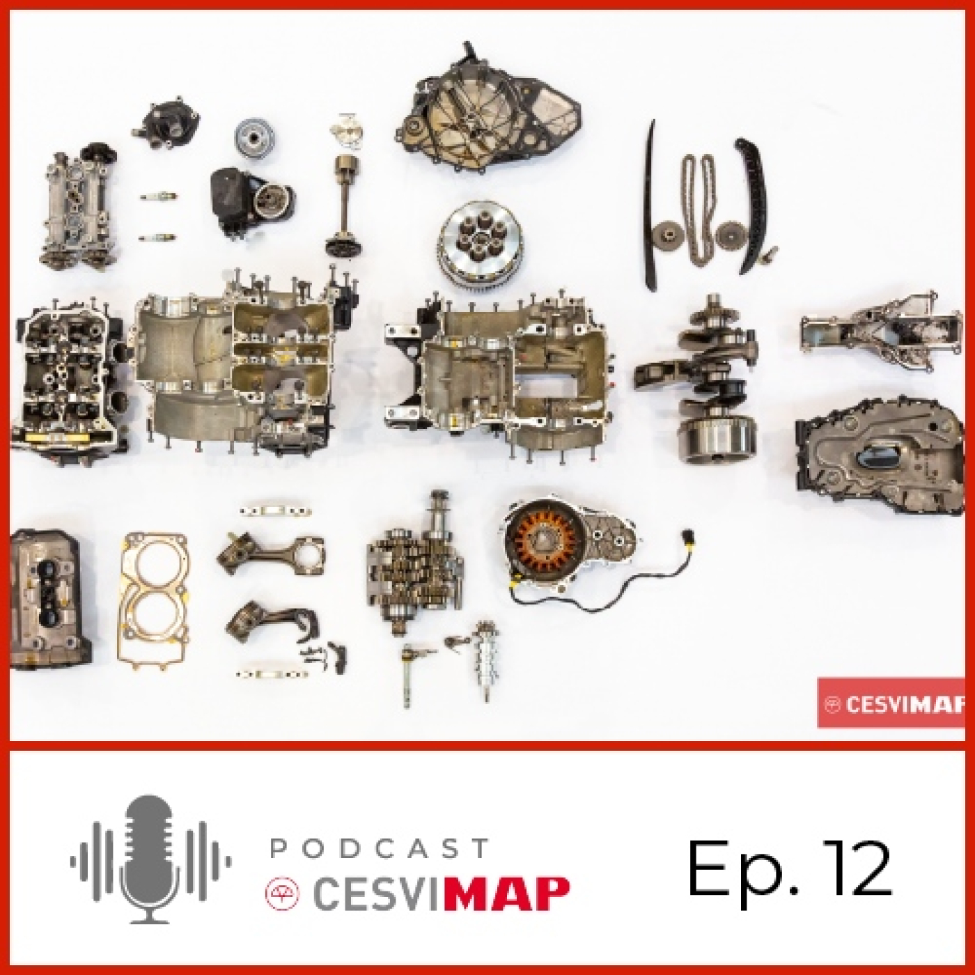 CESVIMAP podcast