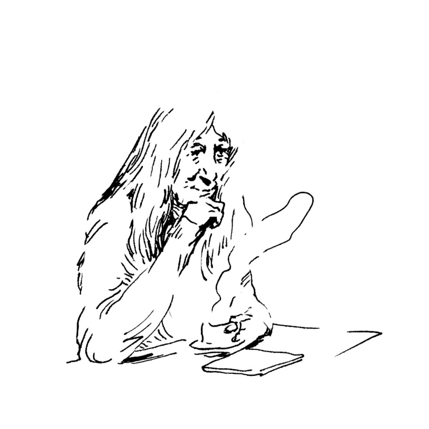 LIBROS DE LA HERIDA