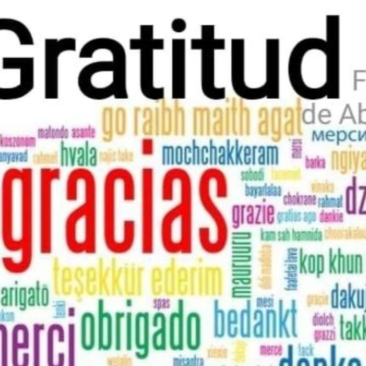 La gratitud atrae felicidad