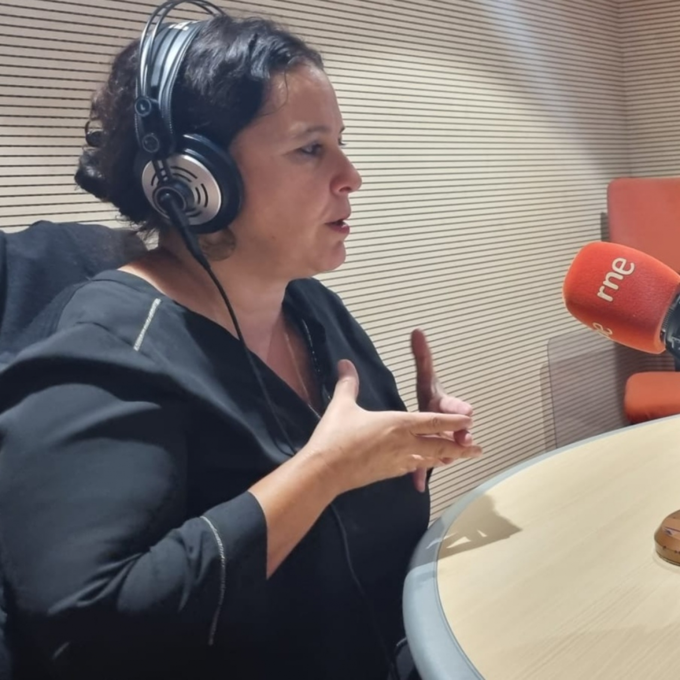 Entrevistas de radio