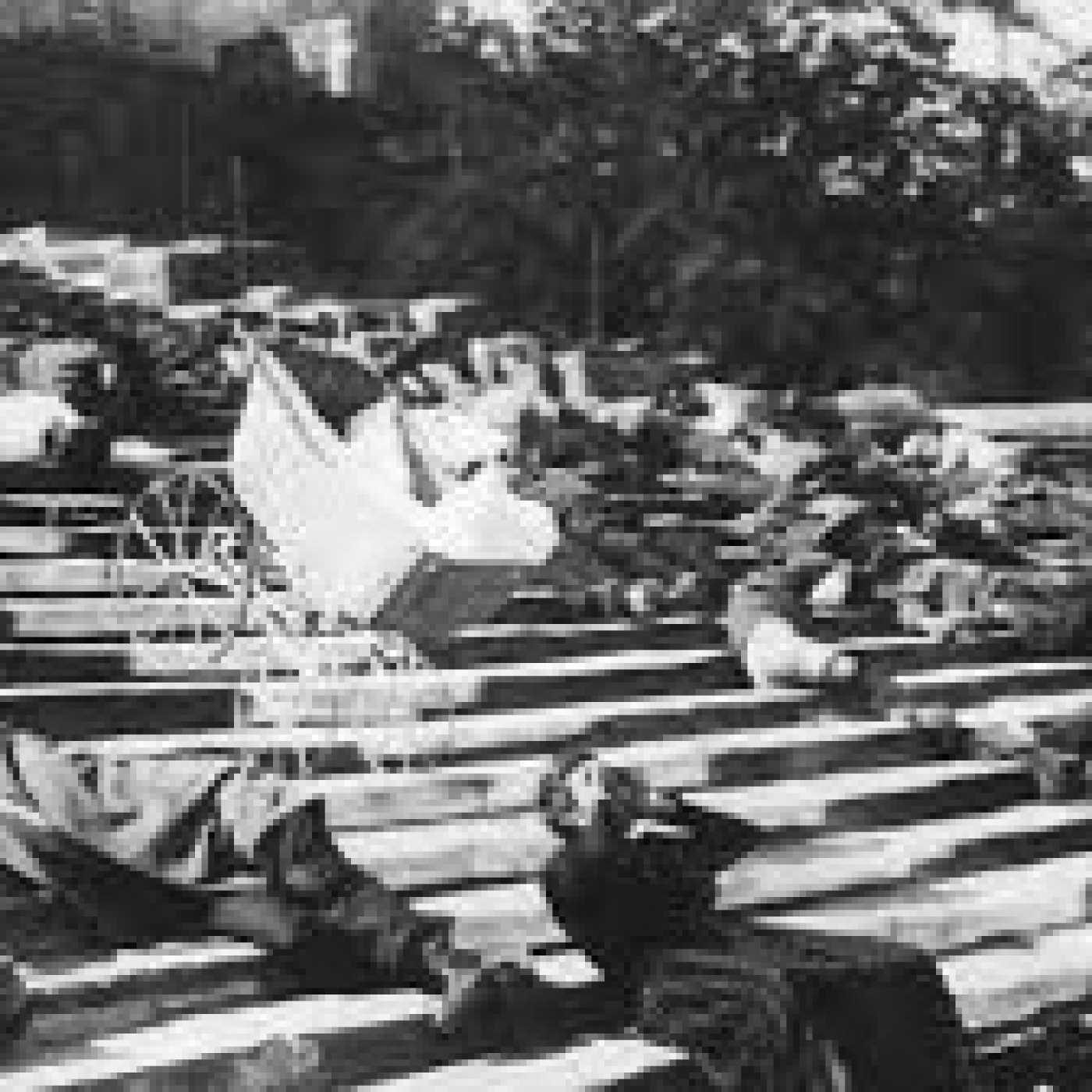 100 AÑOS DEL ACORAZADO POTEMKIN. - Episodio exclusivo para mecenas