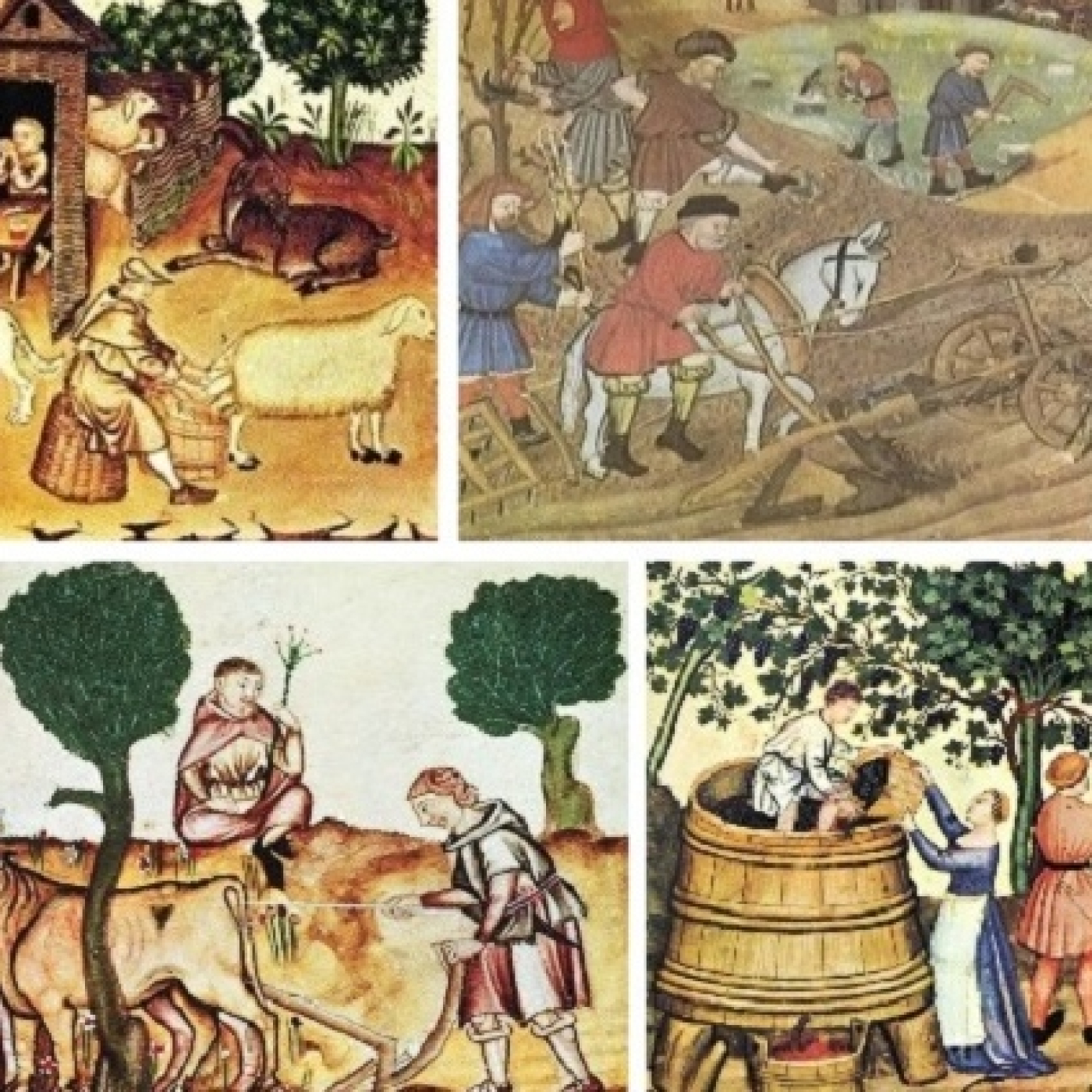 Episodio 29. La repoblación y la organización del territorio. episode artwork
