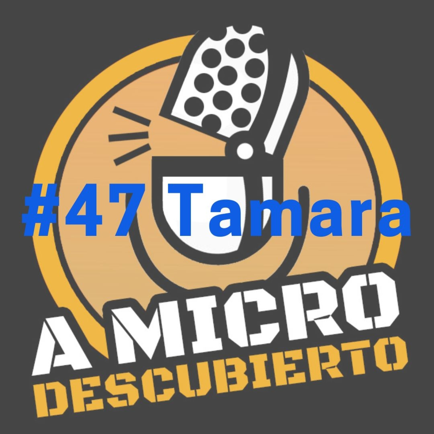 A Micro Descubierto