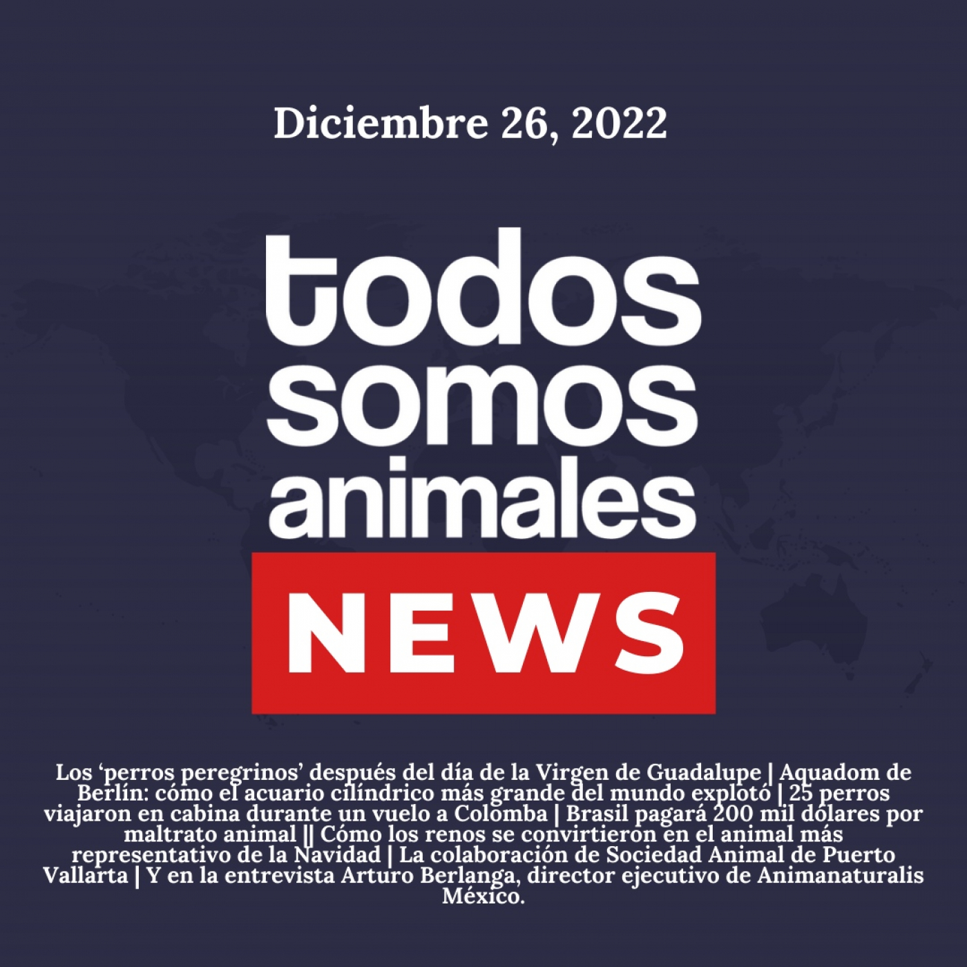 Todos Somos Animales News