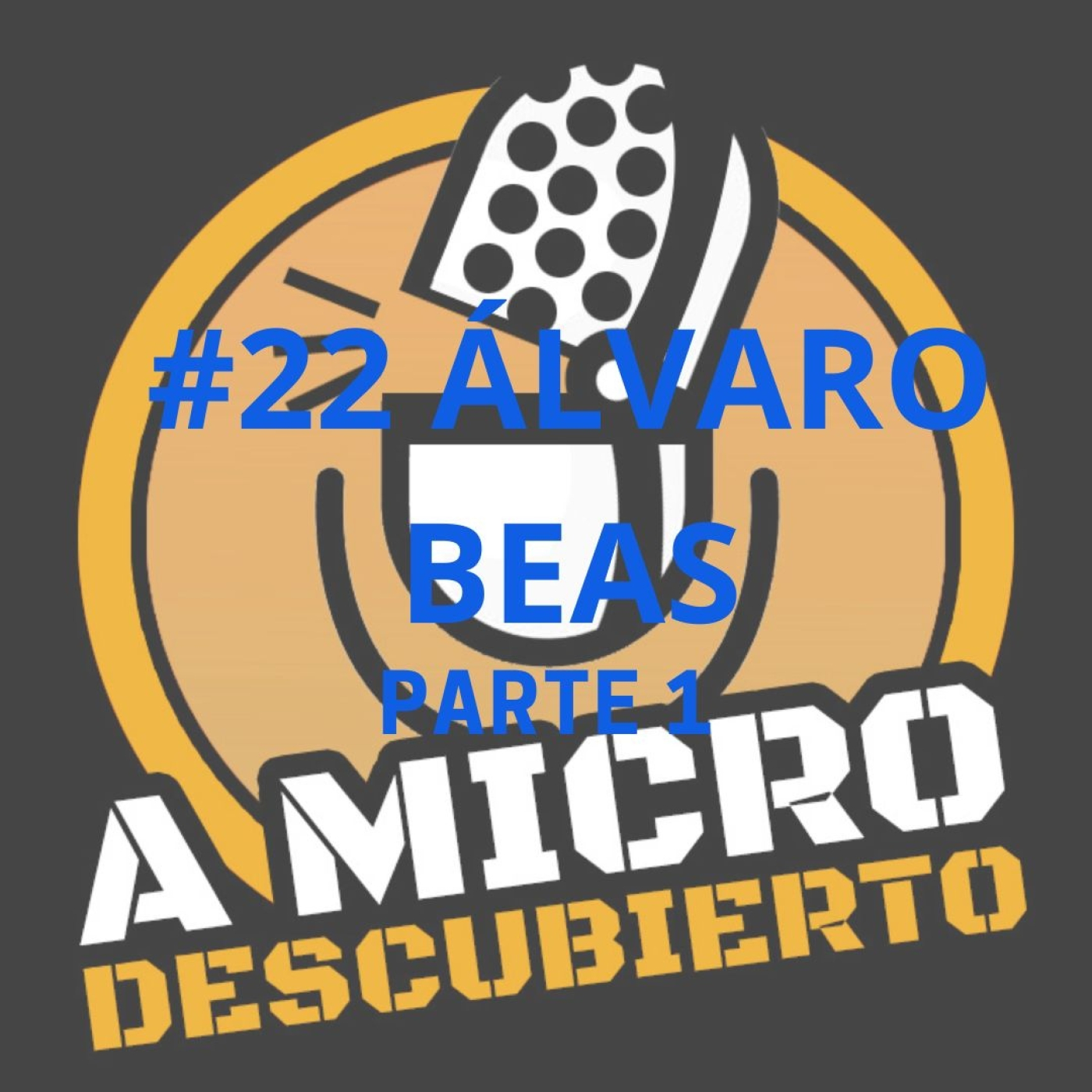 A Micro Descubierto
