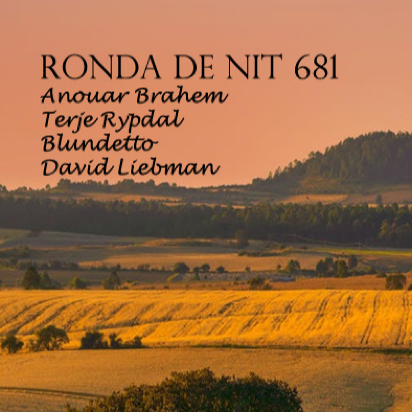 Ronda de Nit