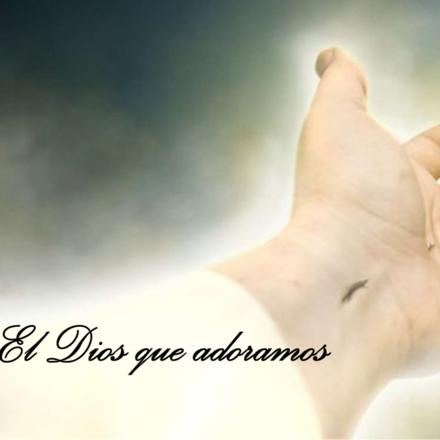 Iglesia Bíblica el Buen Pastor