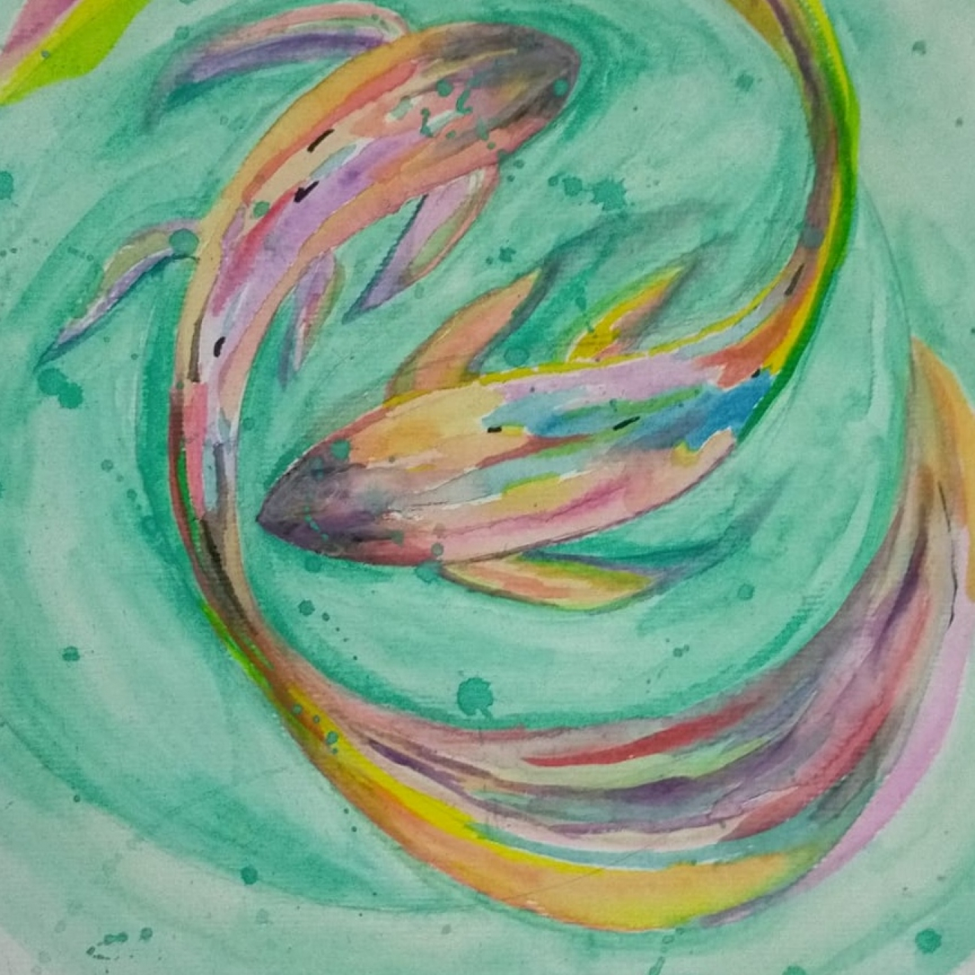 Astrosemion