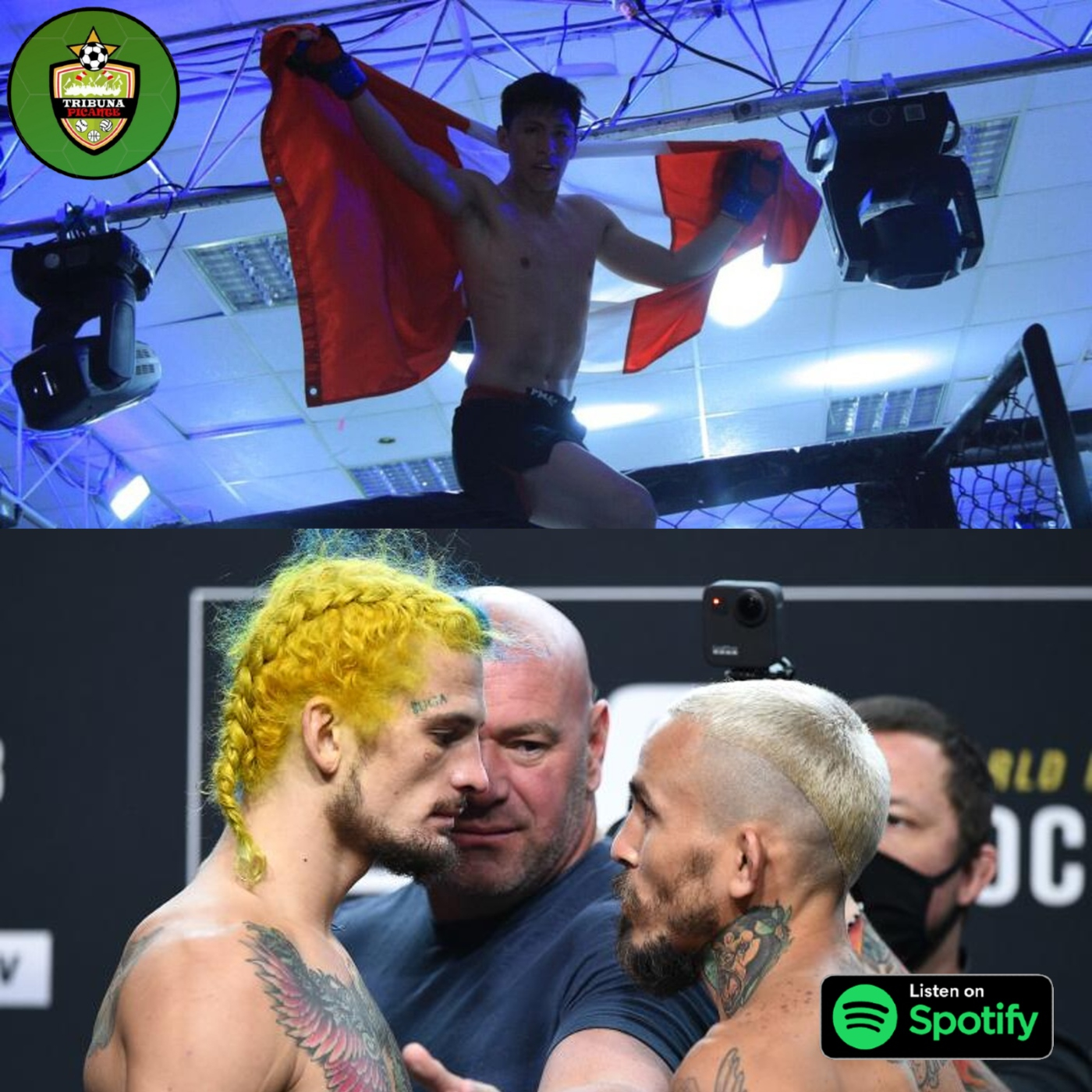Podcast Picante -Actualidad de las MMA en Perú y el Mundo episode artwork