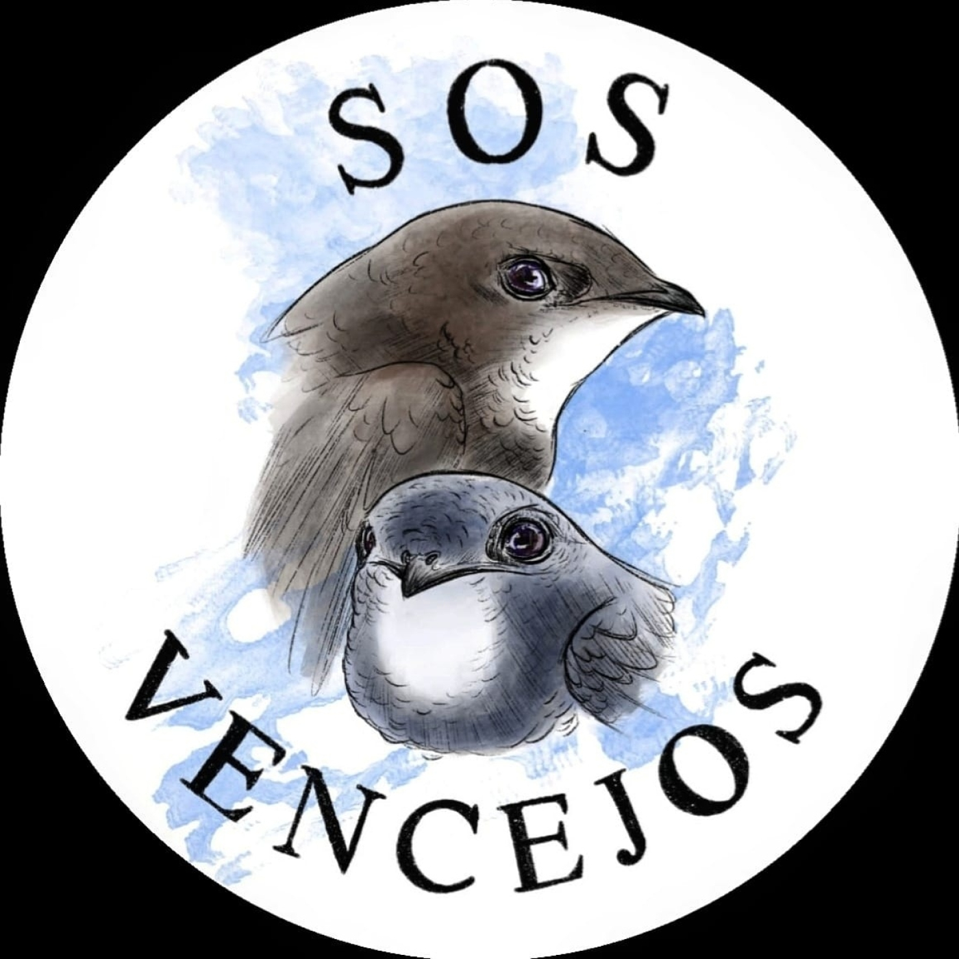 Podcast Galaxia Verde (derechos animales)