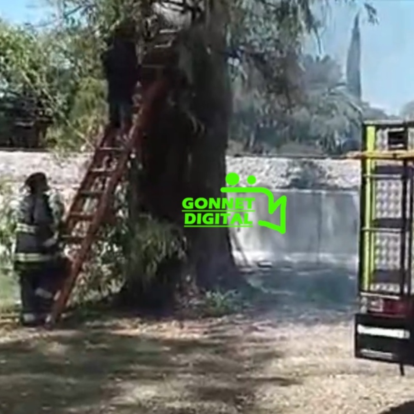 Podcast de Radio Gonnet