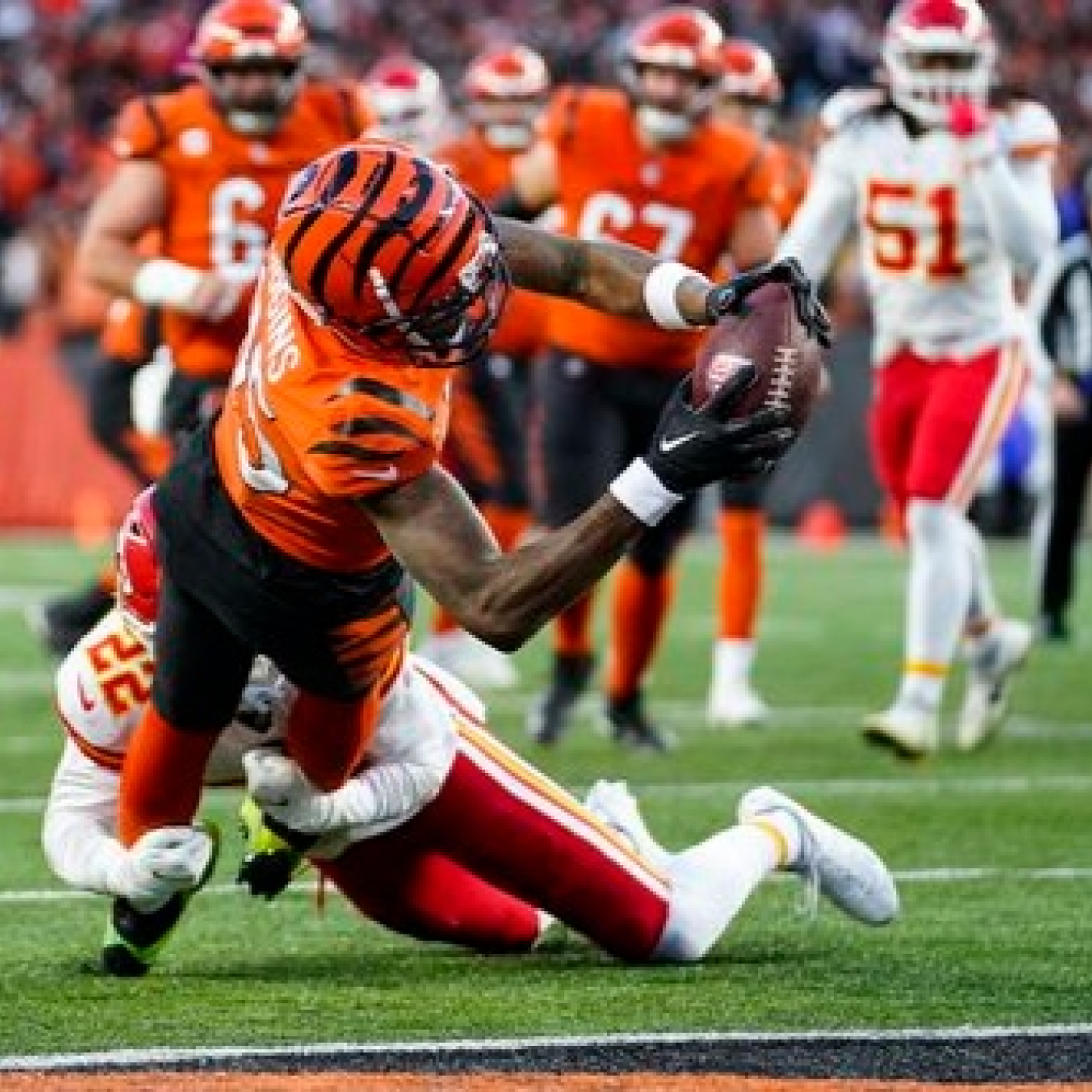 La Jungla Hispana - Bengals.es