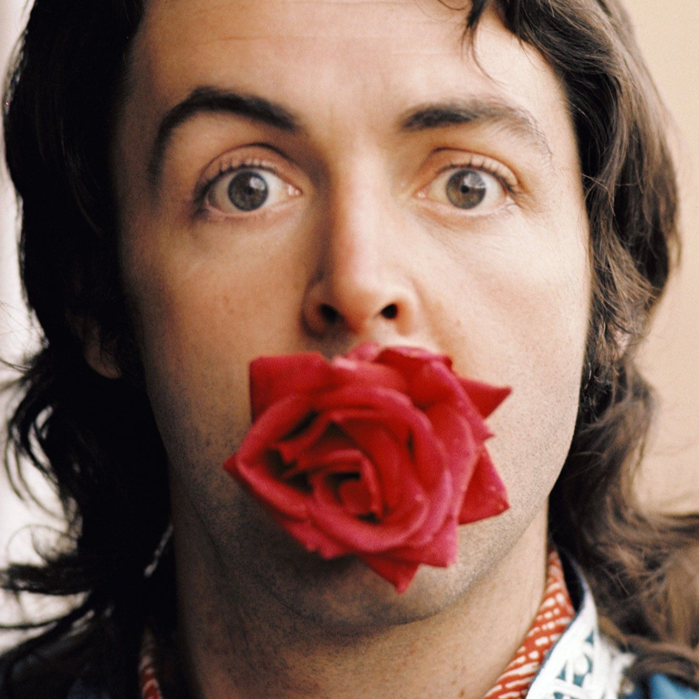 Proyecto Beatle