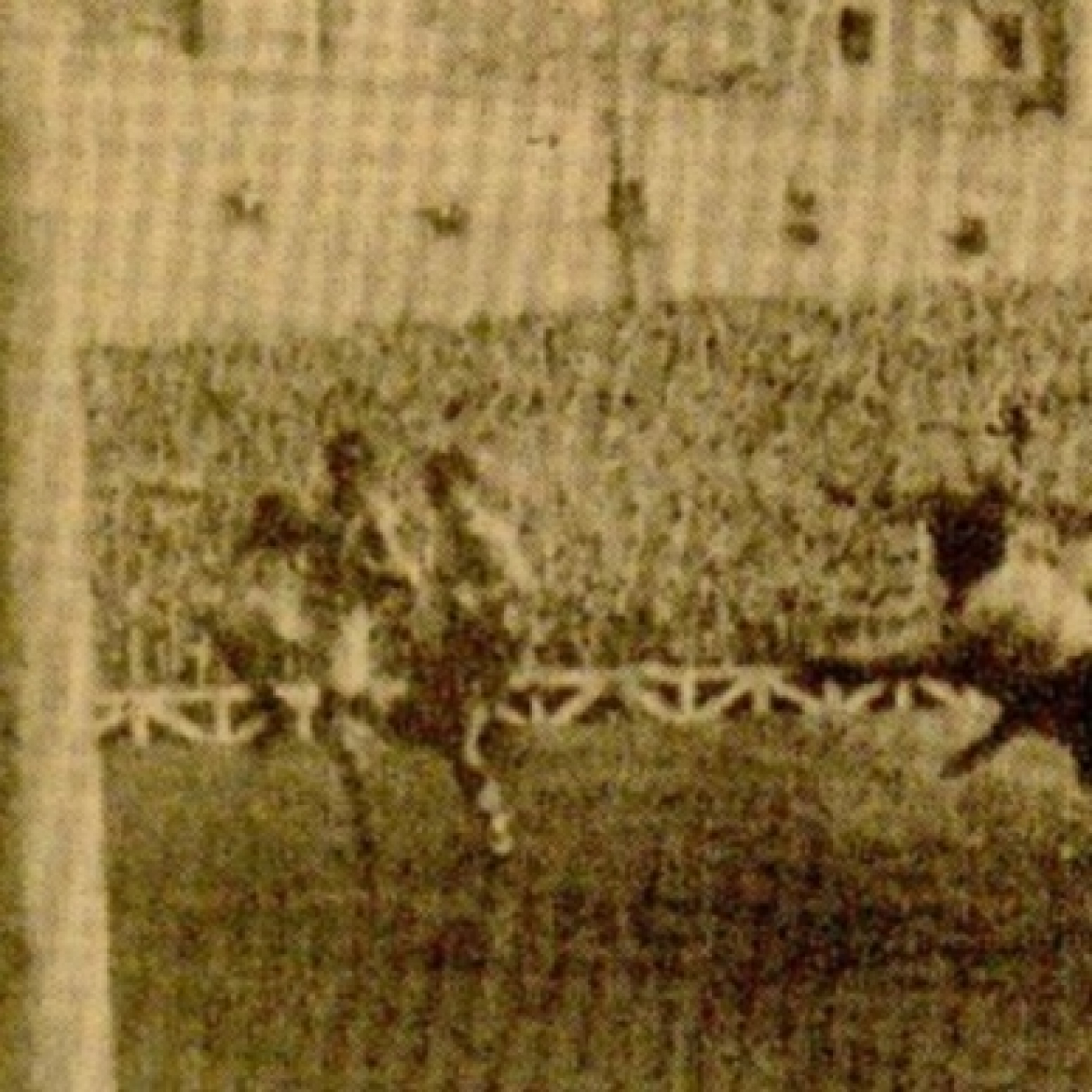 Corazón Txuri Urdin