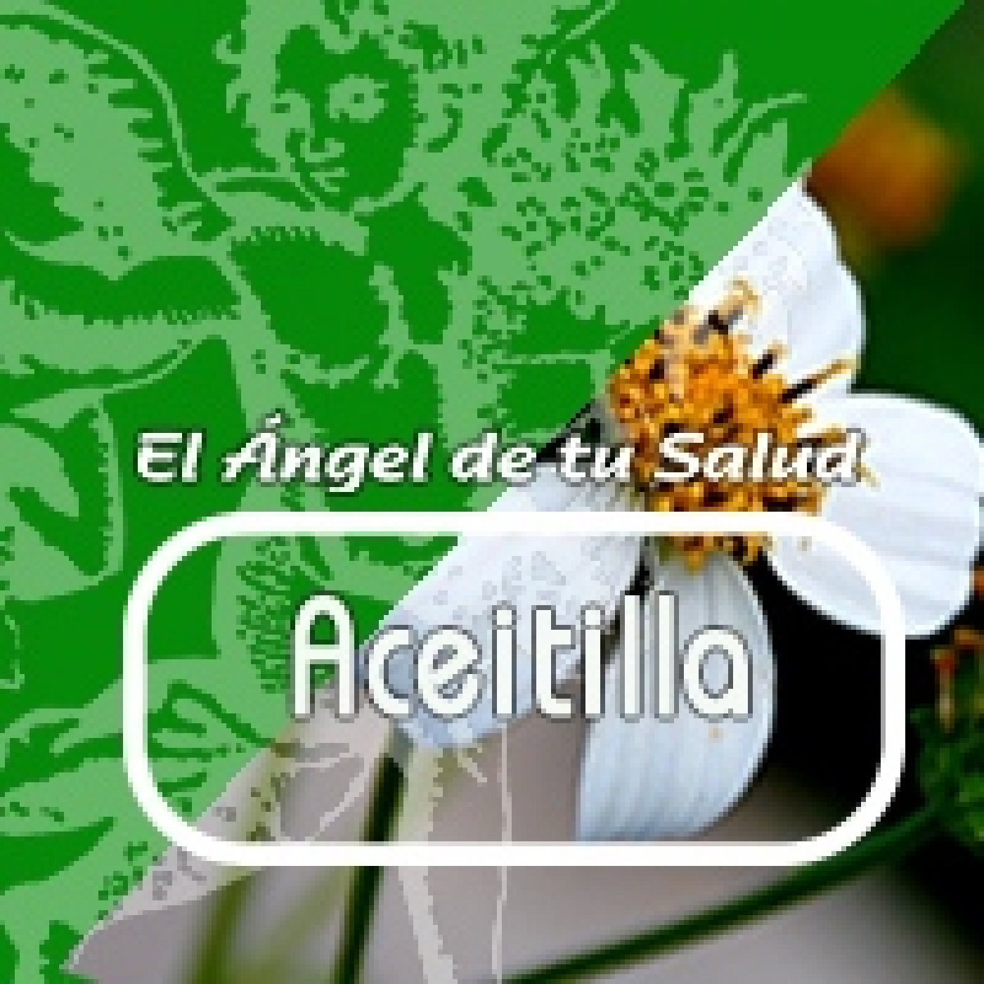 El Ángel de tu Salud - ACEITILLA*** episode artwork