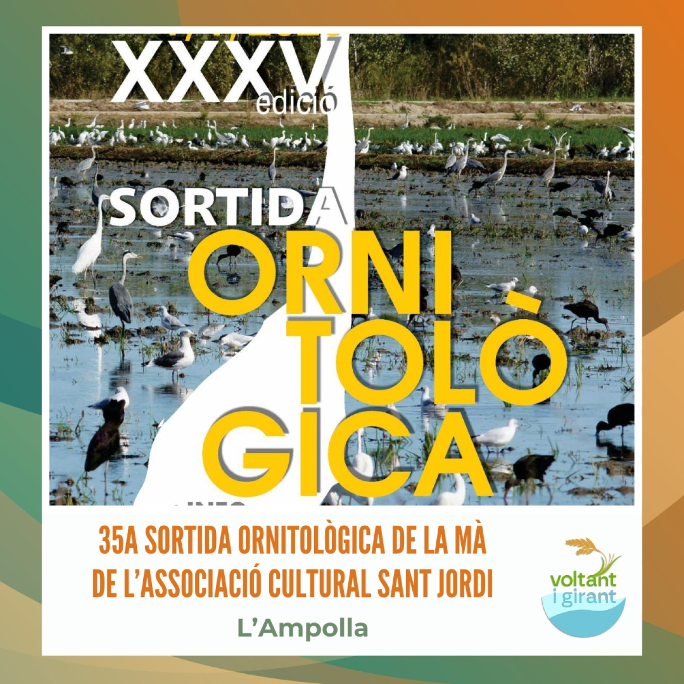 35a Sortida Ornitològica de la mà de l’Associació Cultural Sant Jordi de l’Ampolla episode artwork