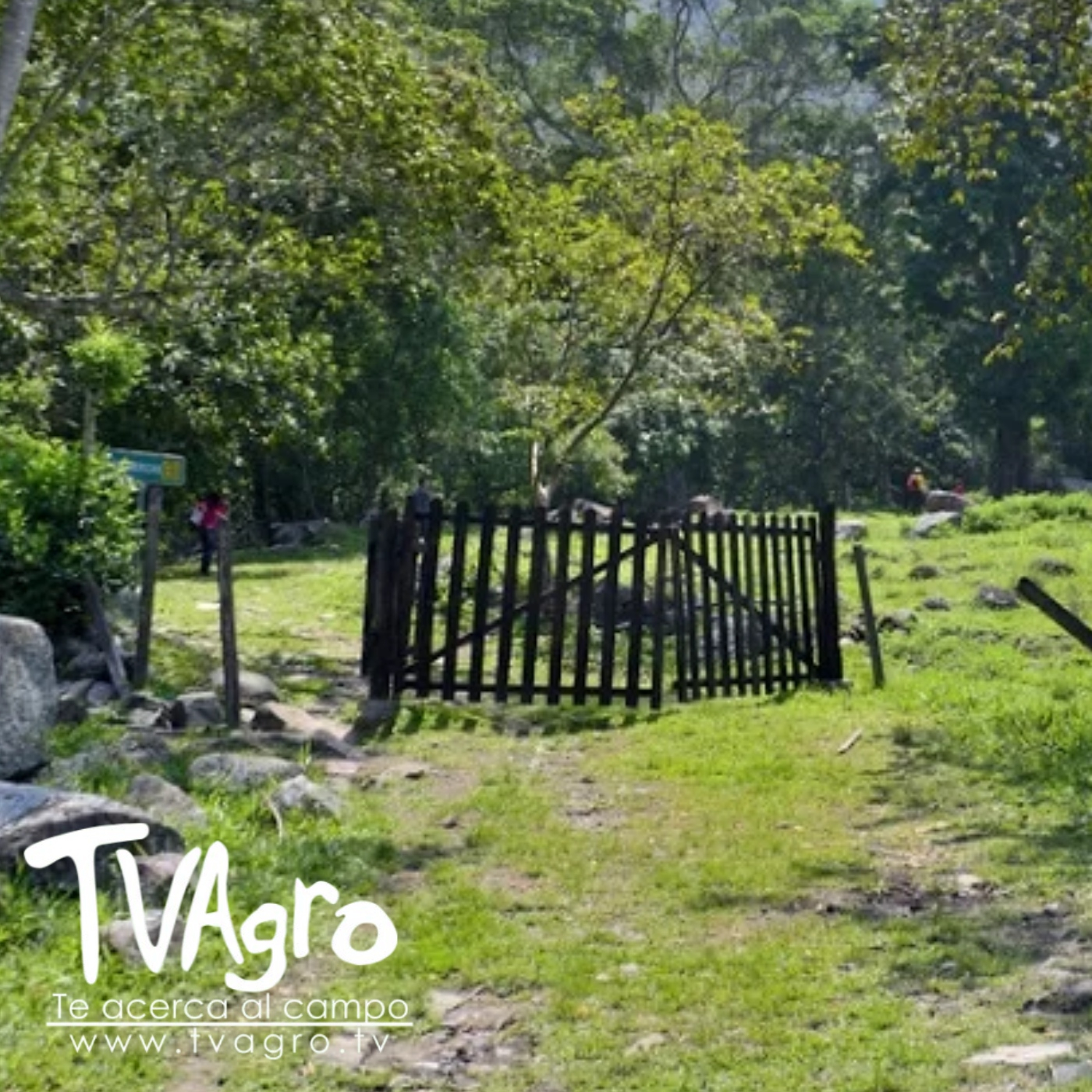 TV AGRO