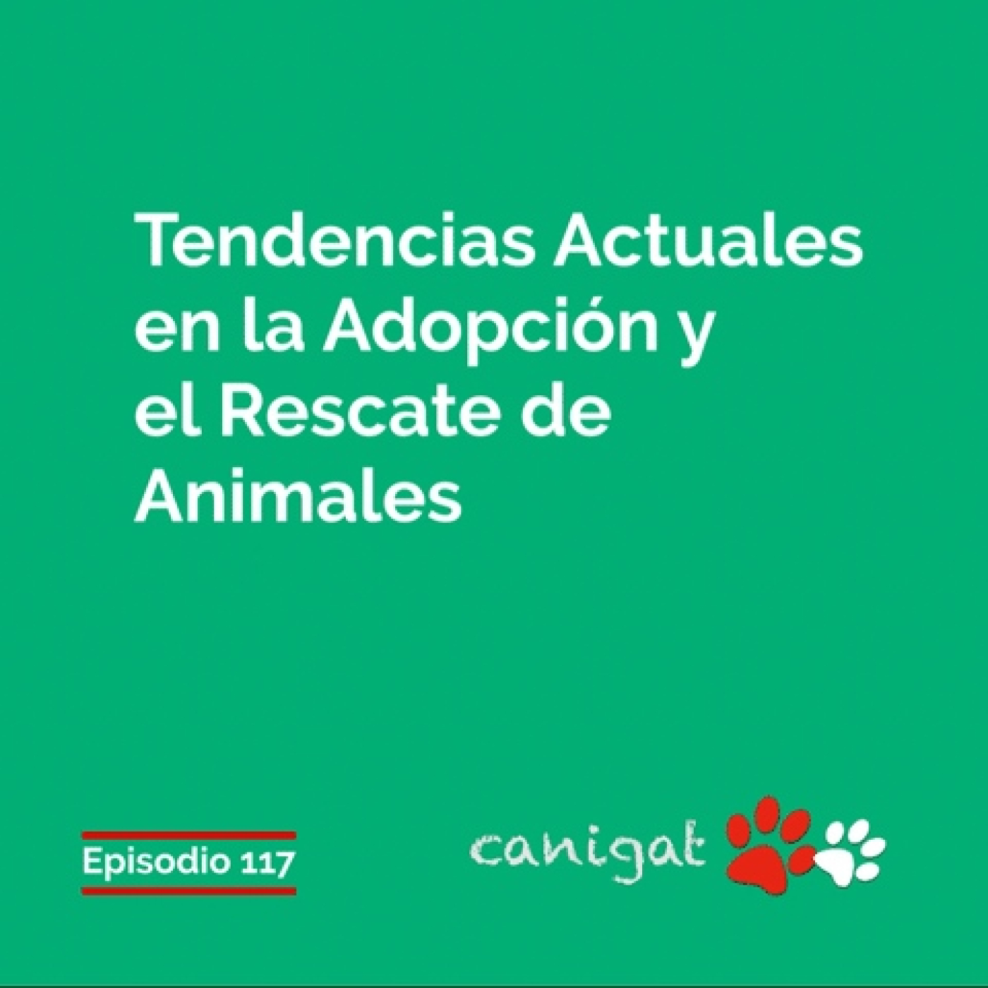 Consejos veterinarios de perros y gatos by canigat