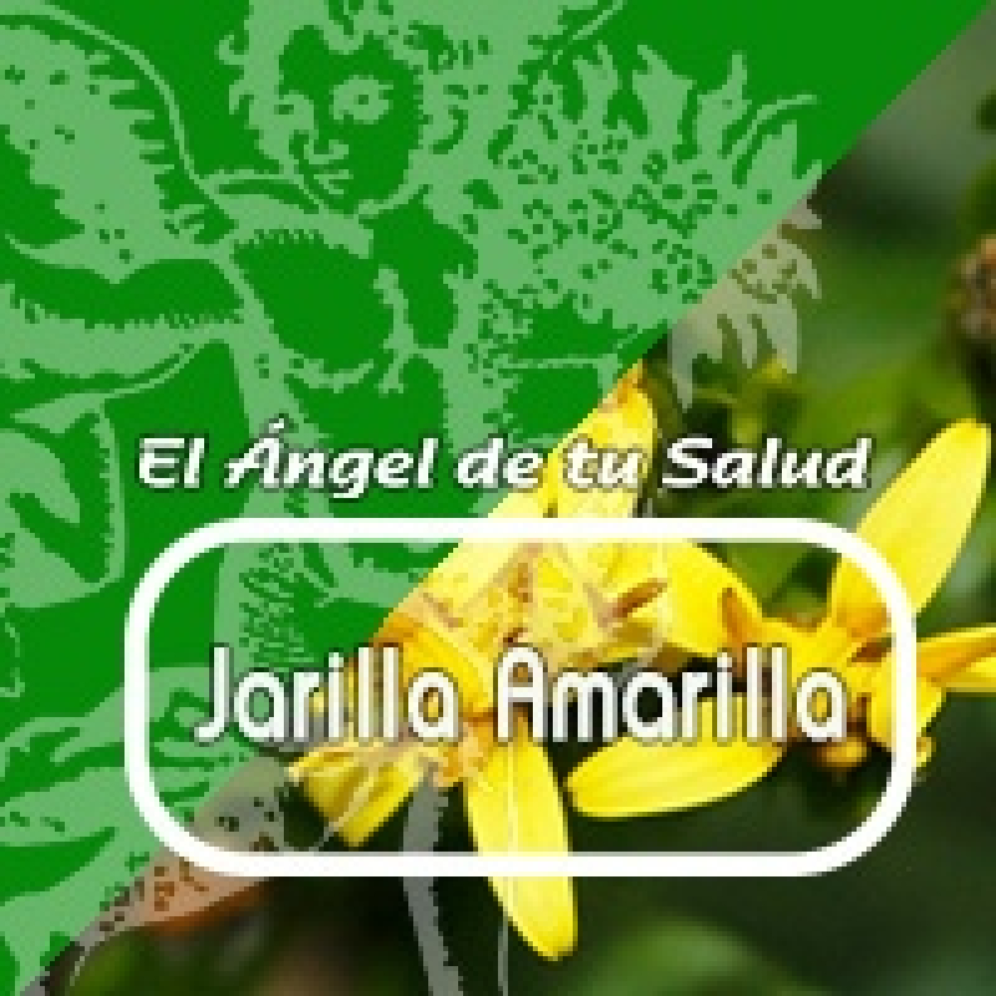 El Ángel de tu Salud - JARILLA AMARILLA ** episode artwork
