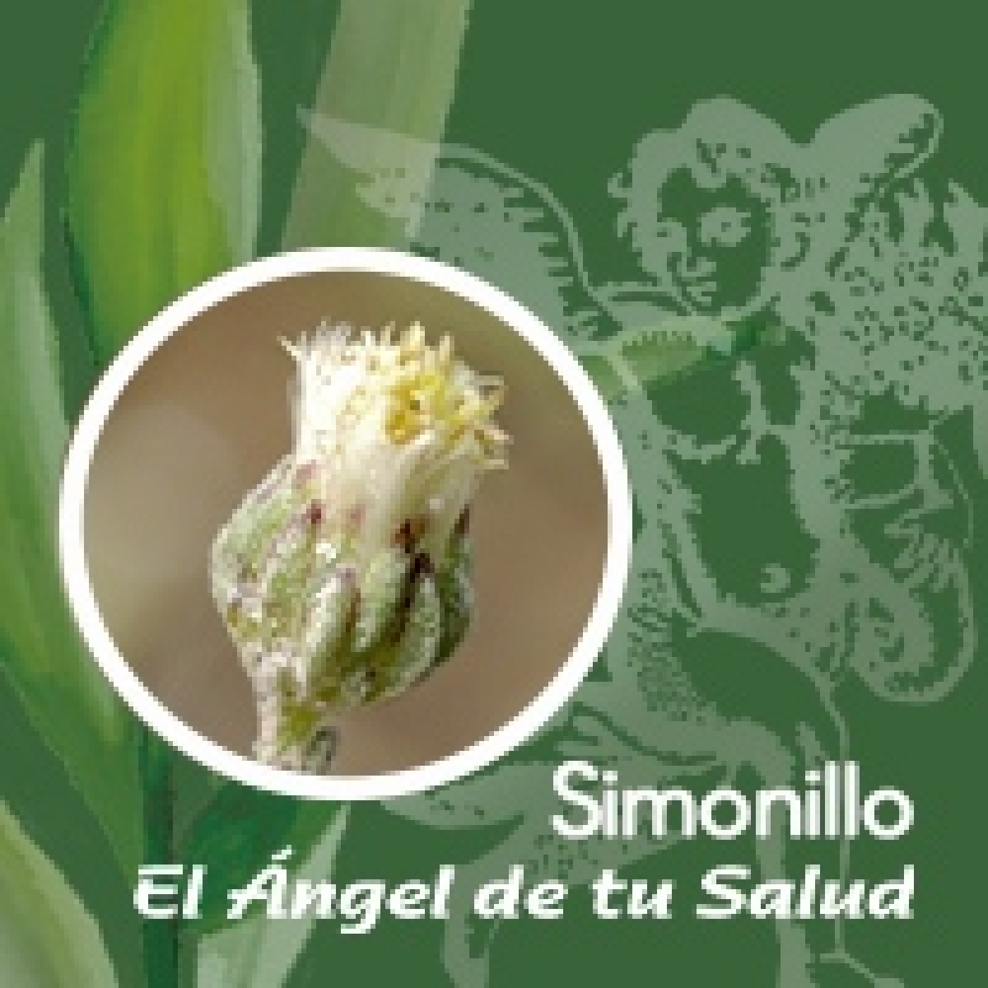 El Ángel de tu Salud - Simonillo**