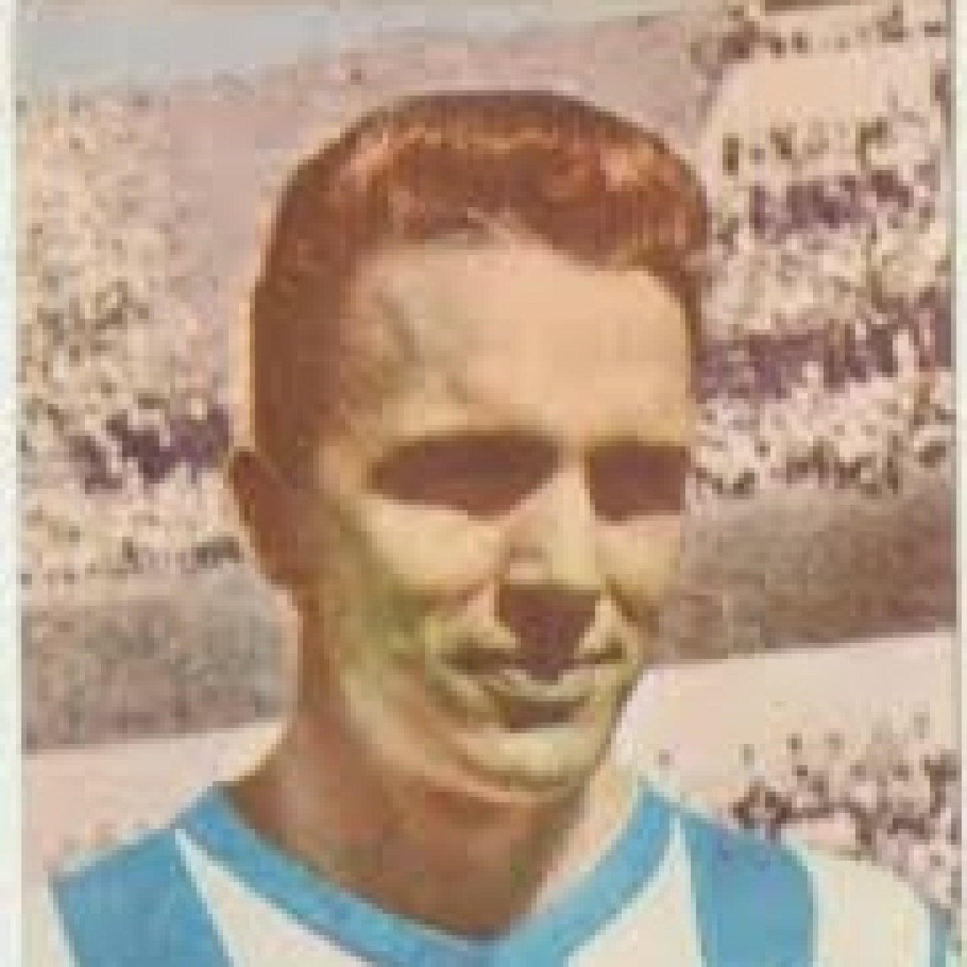 Corazón Txuri Urdin