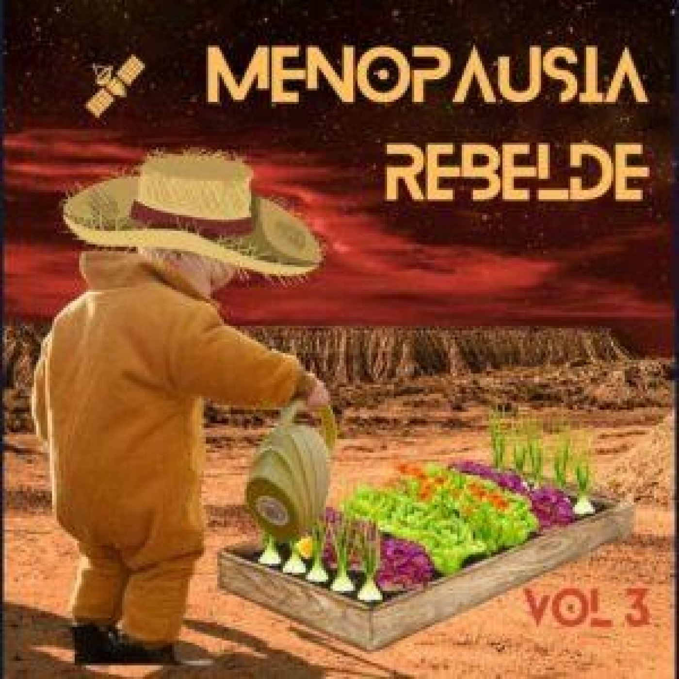 MENOPAUSIA REBELDE