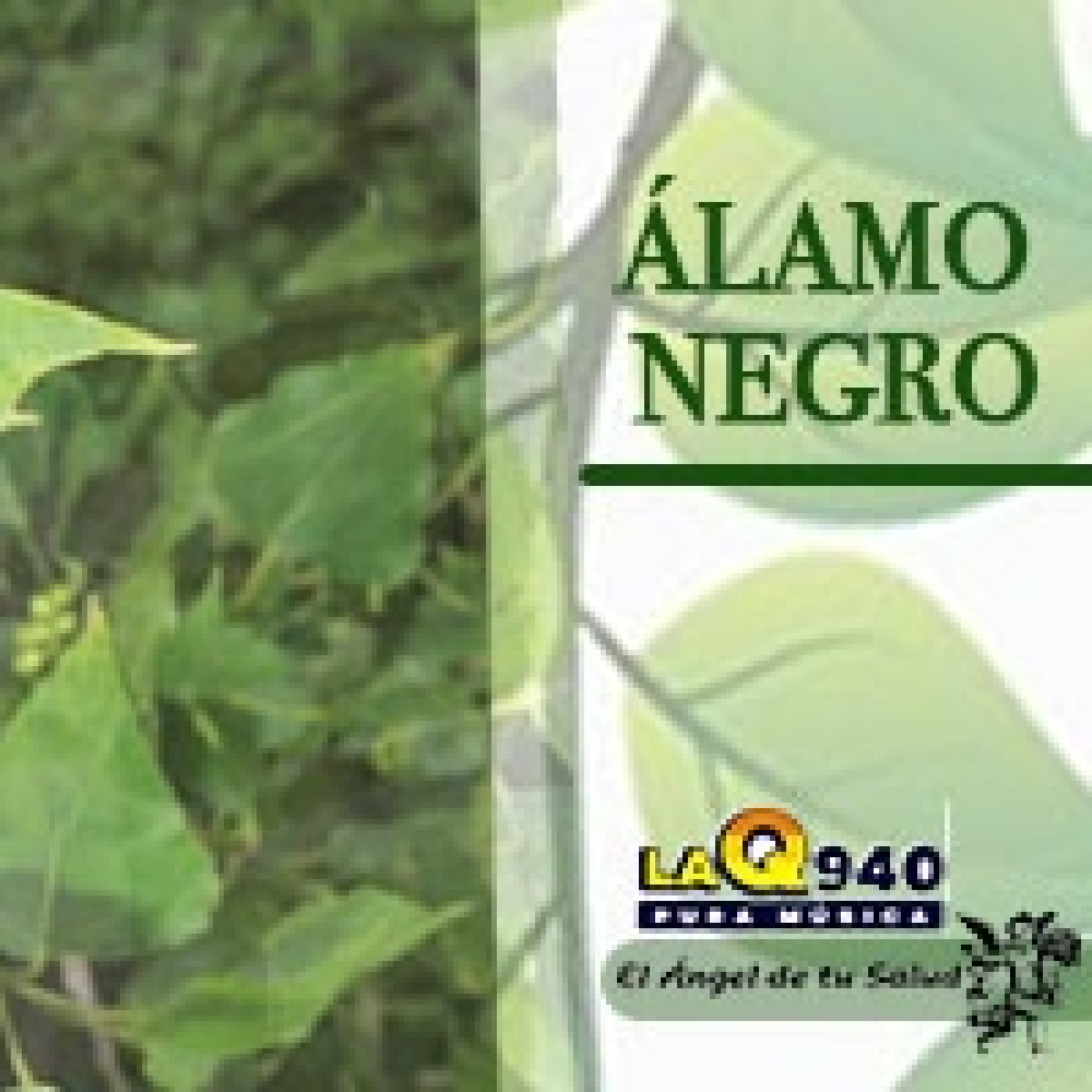 El Ángel de tu Salud - Álamo Negro** episode artwork
