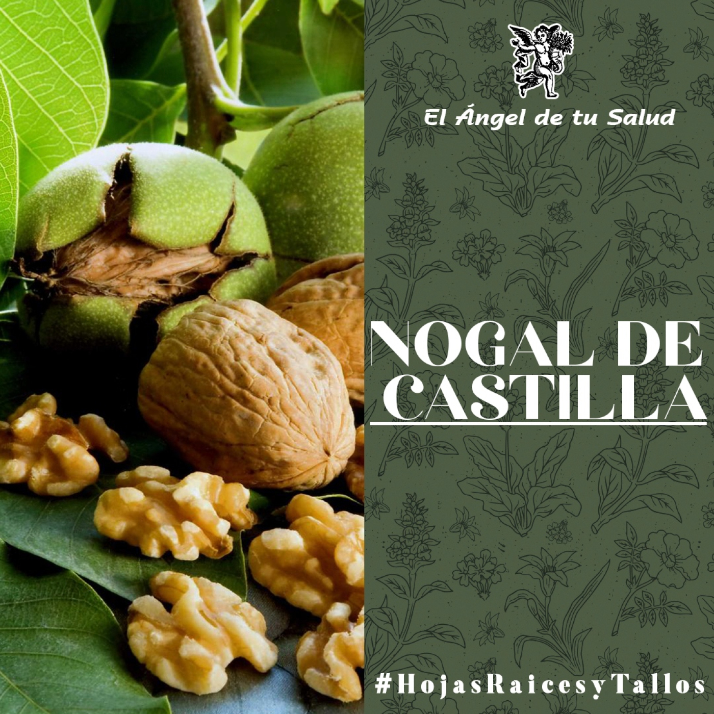 El Ángel de tu Salud - Nogal de Castilla** episode artwork