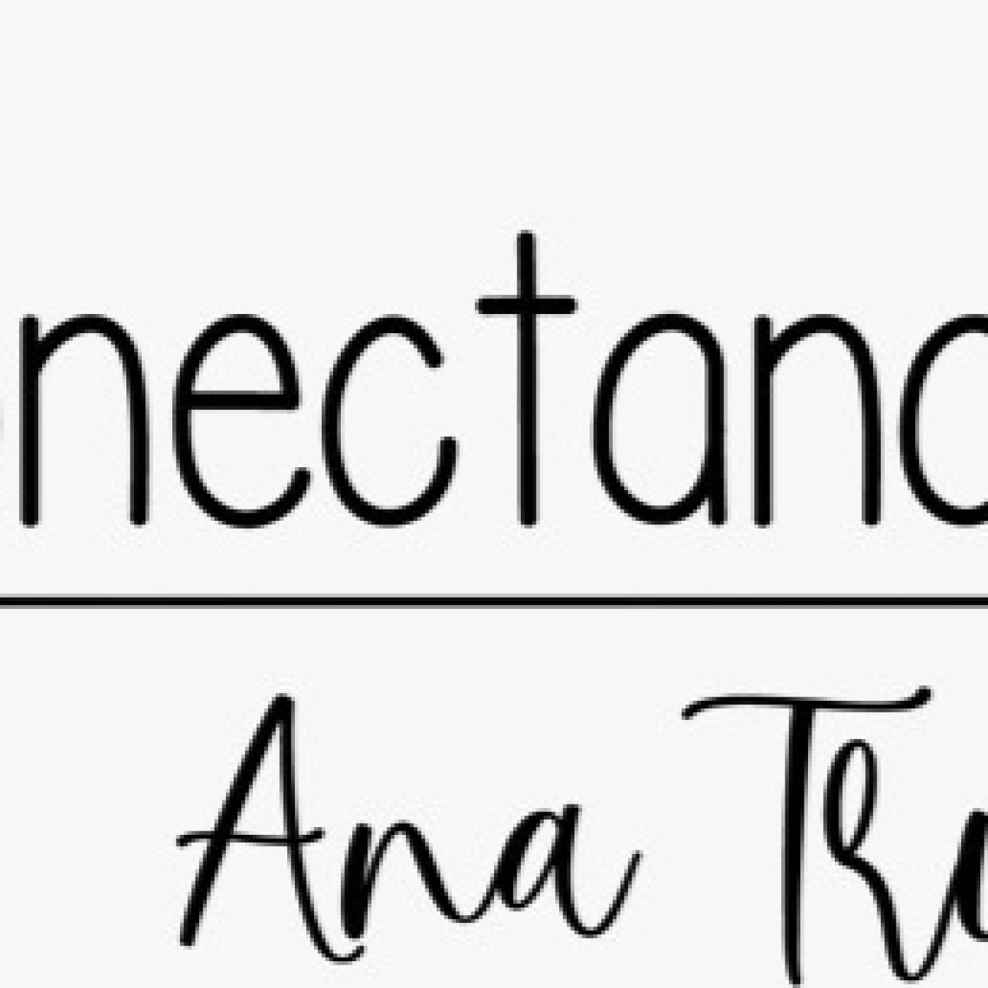 Reconectando al amor 14012025 p329